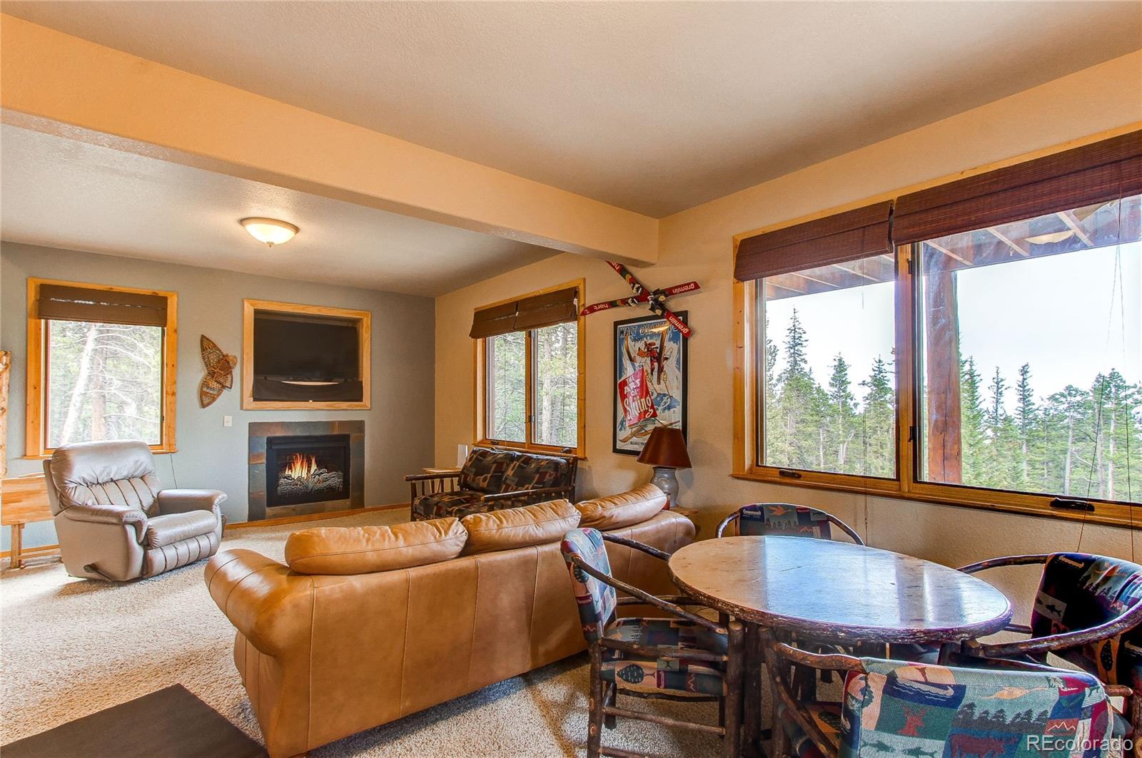 MLS Image #42 for 1428  bobcat lane,fairplay, Colorado