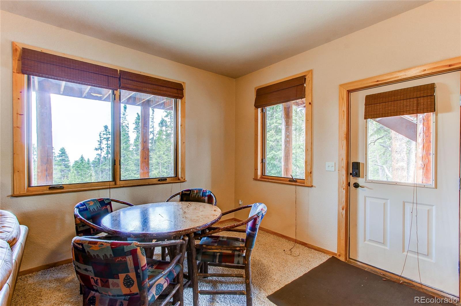 MLS Image #47 for 1428  bobcat lane,fairplay, Colorado