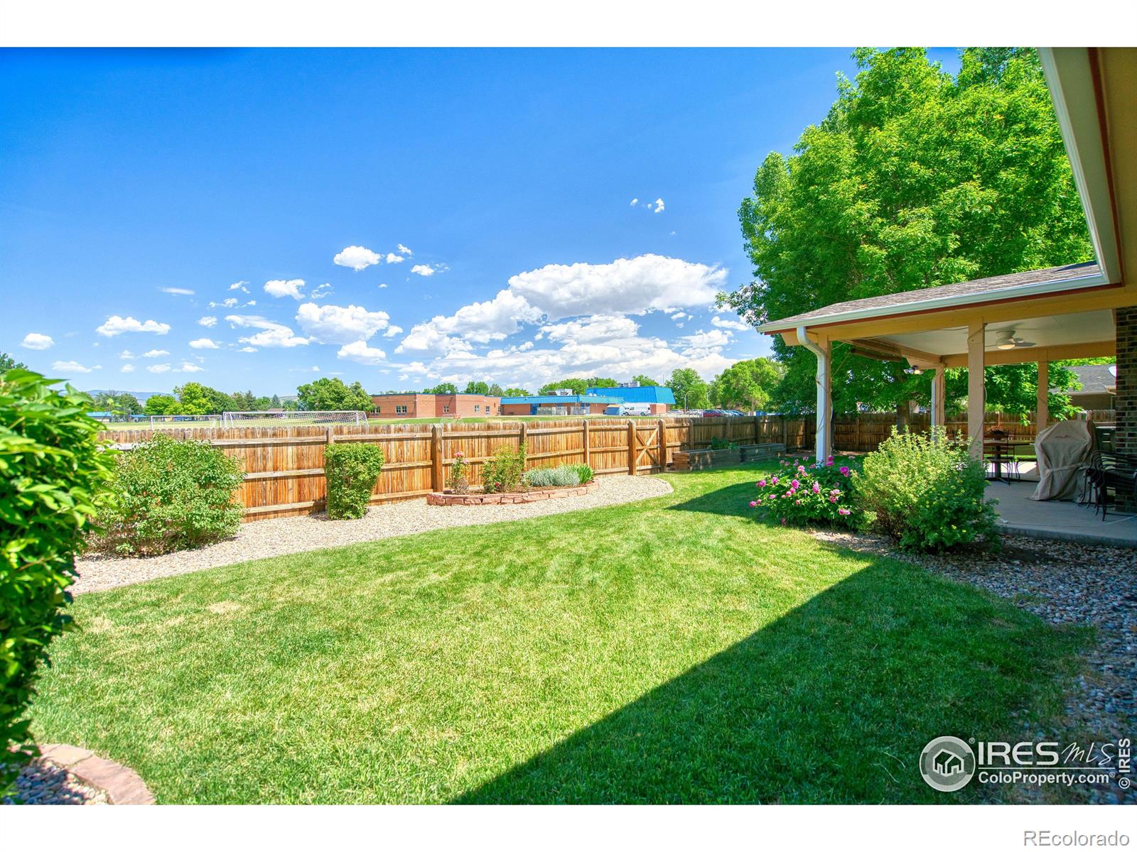 MLS Image #3 for 31  cornell drive,longmont, Colorado