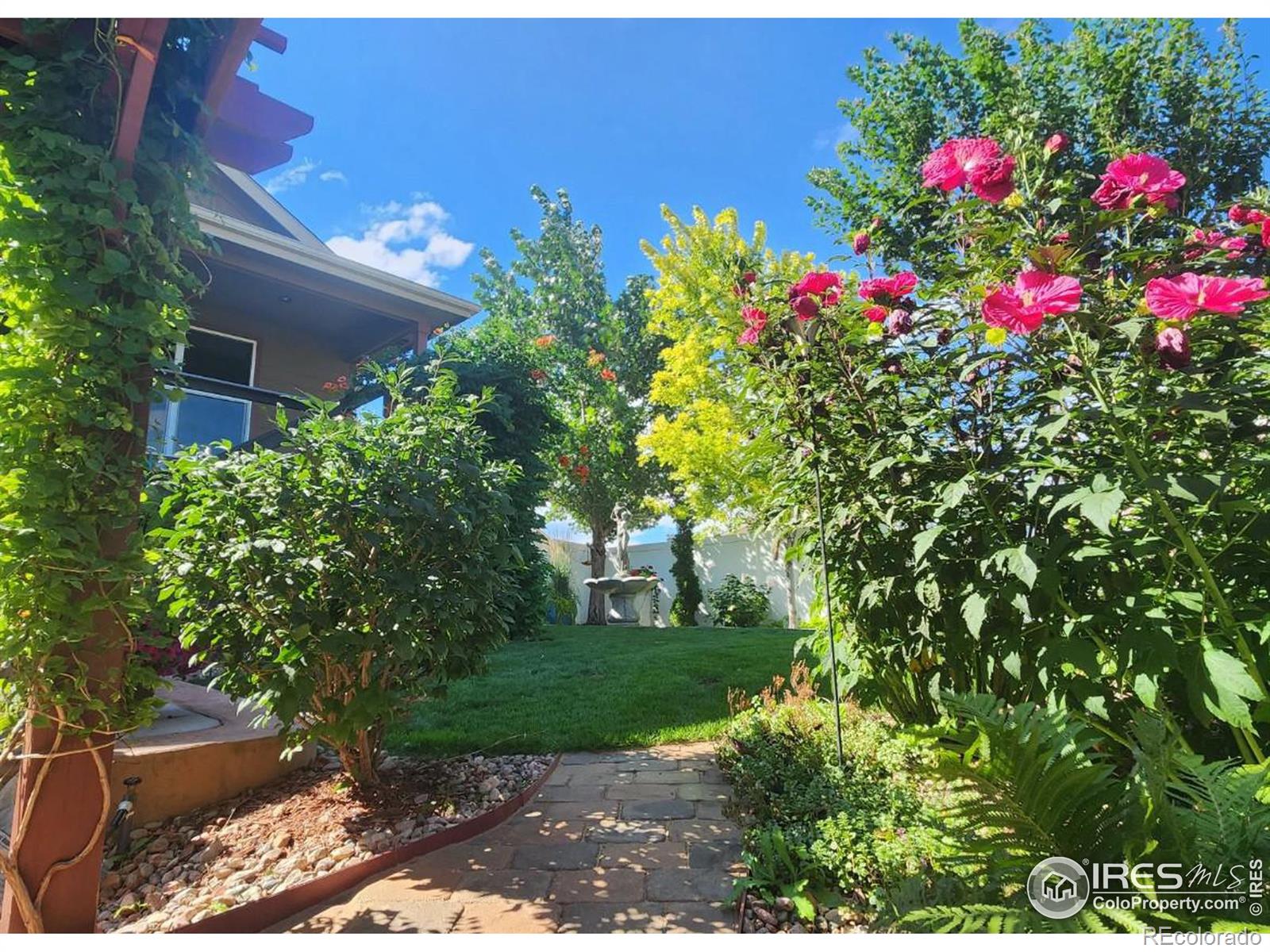 MLS Image #34 for 466  mt sherman avenue,severance, Colorado