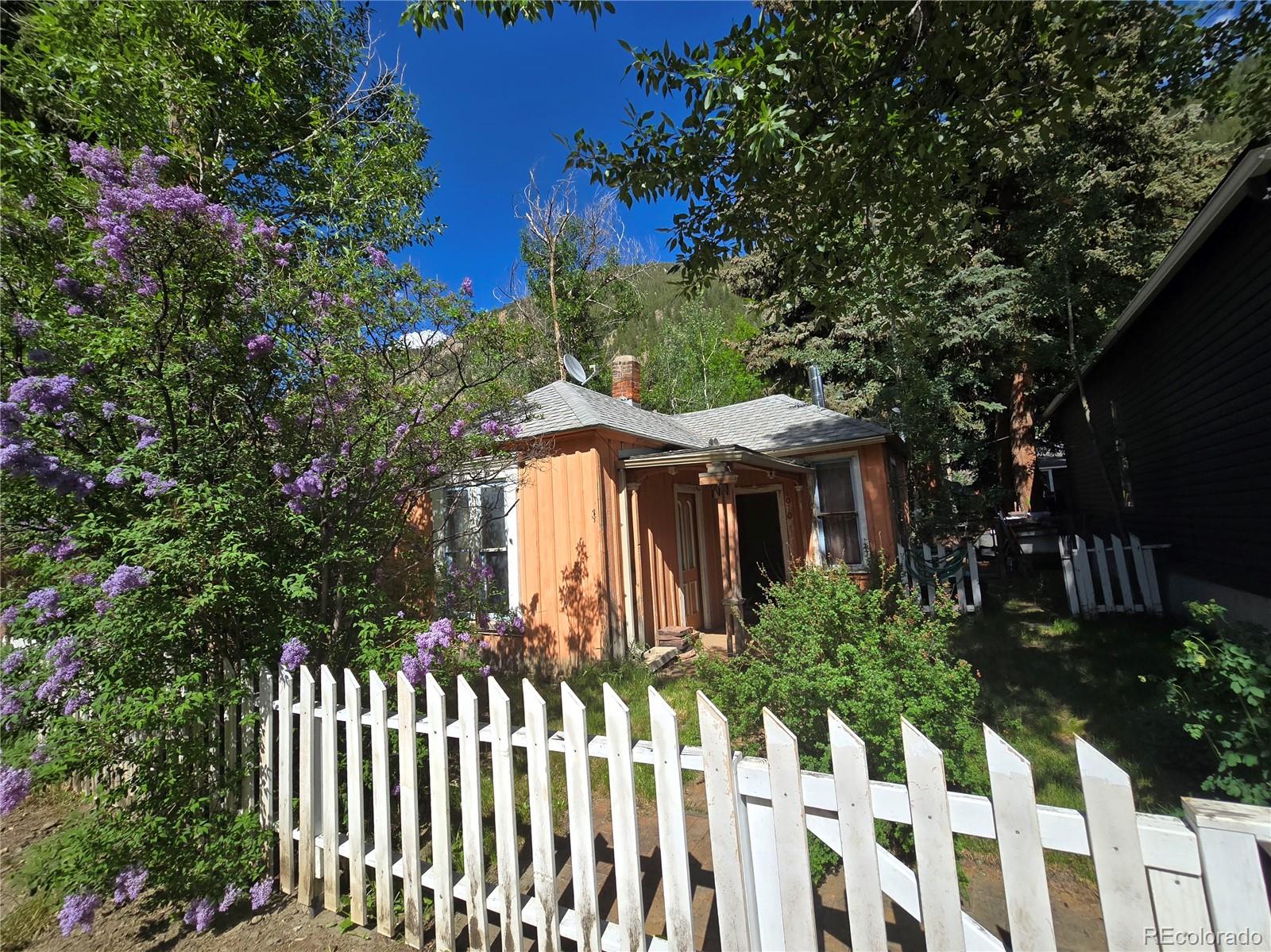 MLS Image #0 for 1010  taos street,georgetown, Colorado