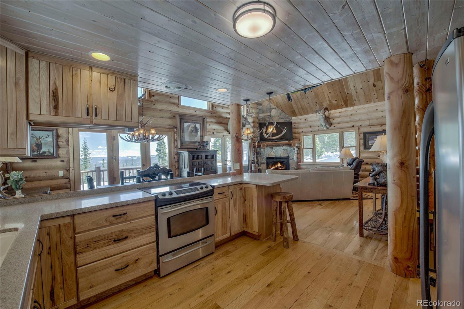 MLS Image #15 for 127  hamilton lane,breckenridge, Colorado