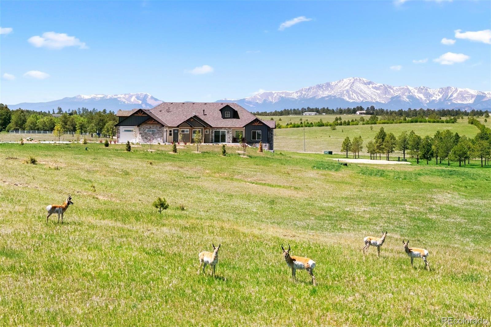 MLS Image #7 for 6155  hodgen road,colorado springs, Colorado