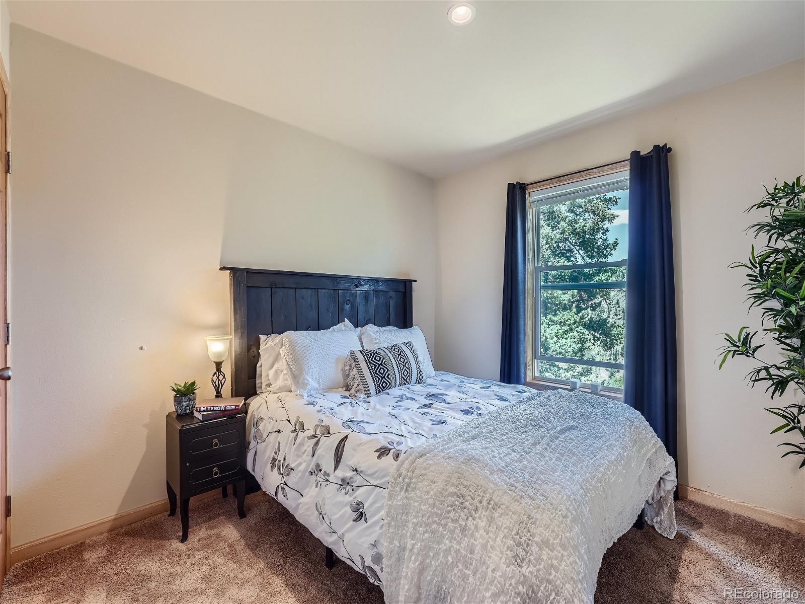 MLS Image #11 for 867  elk valley drive,evergreen, Colorado