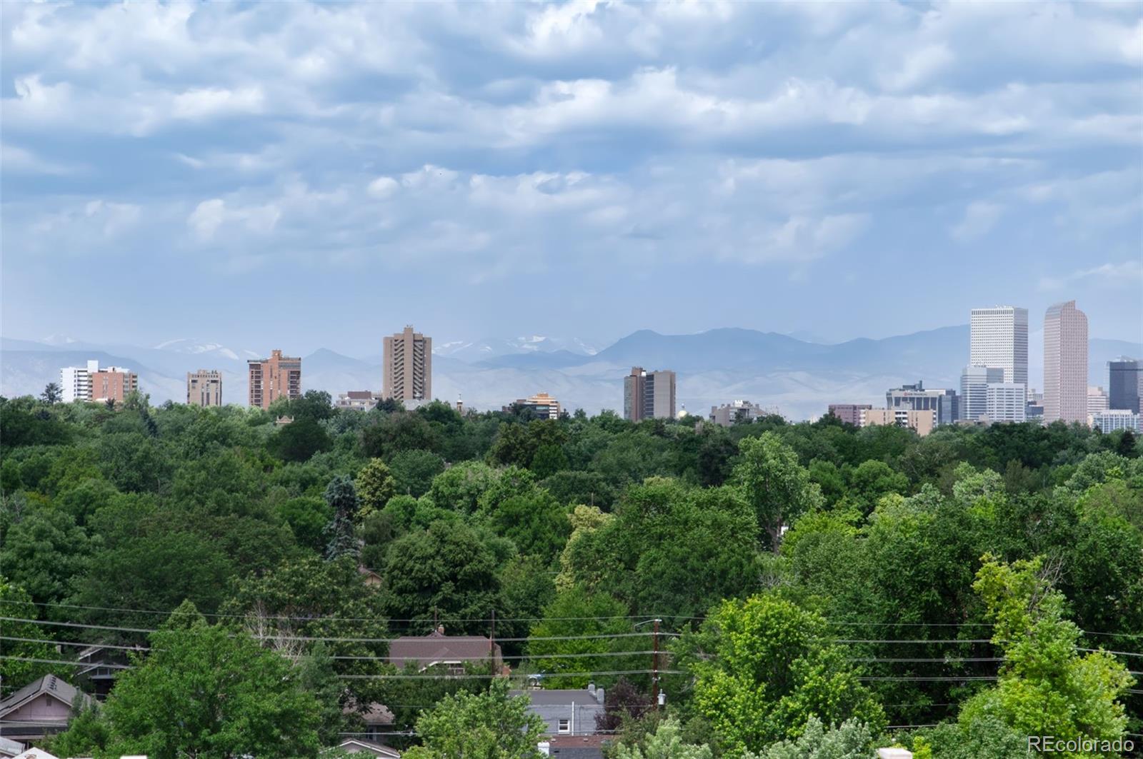 MLS Image #20 for 1121  albion street,denver, Colorado