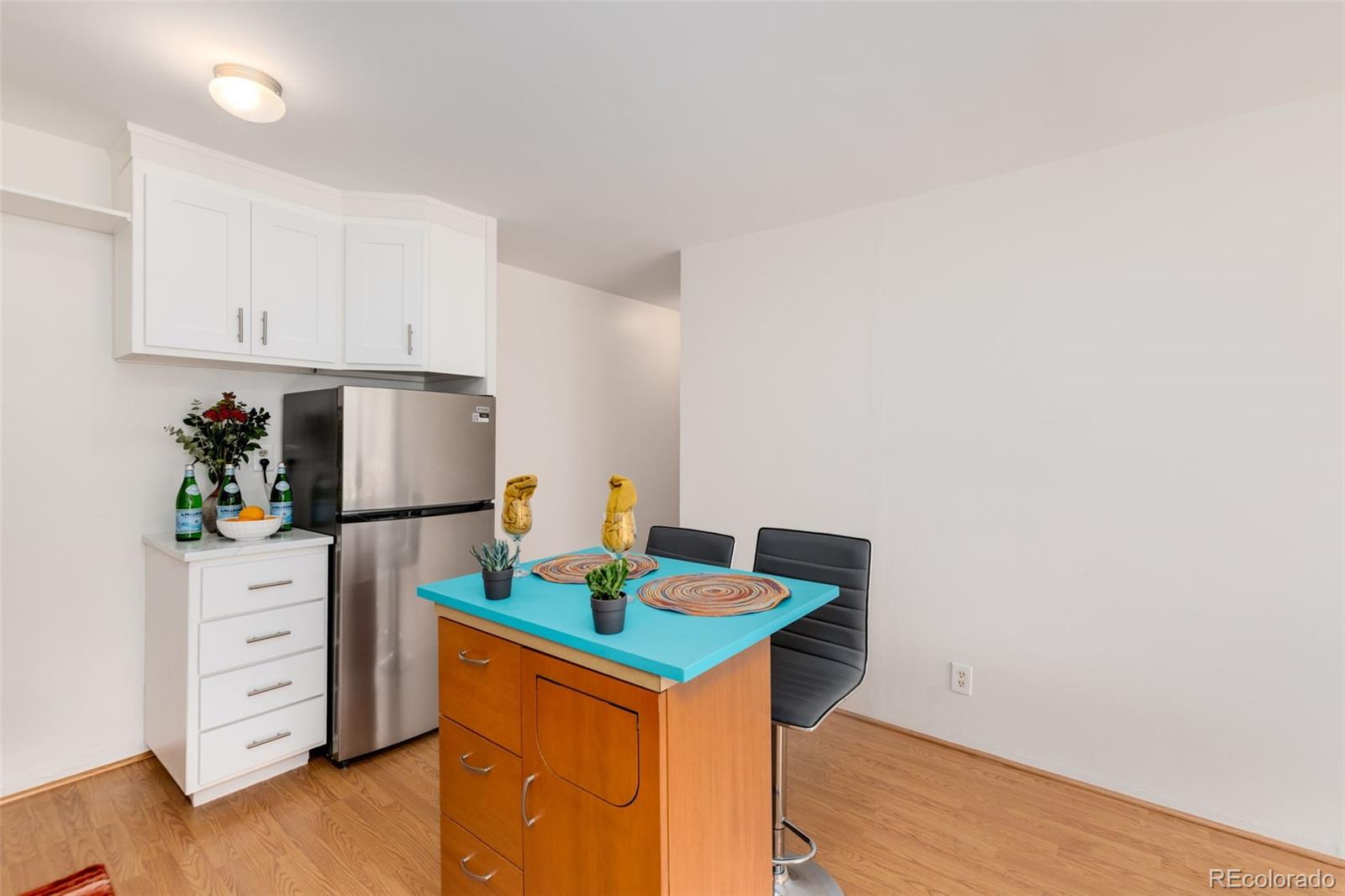 MLS Image #5 for 1121  albion street,denver, Colorado