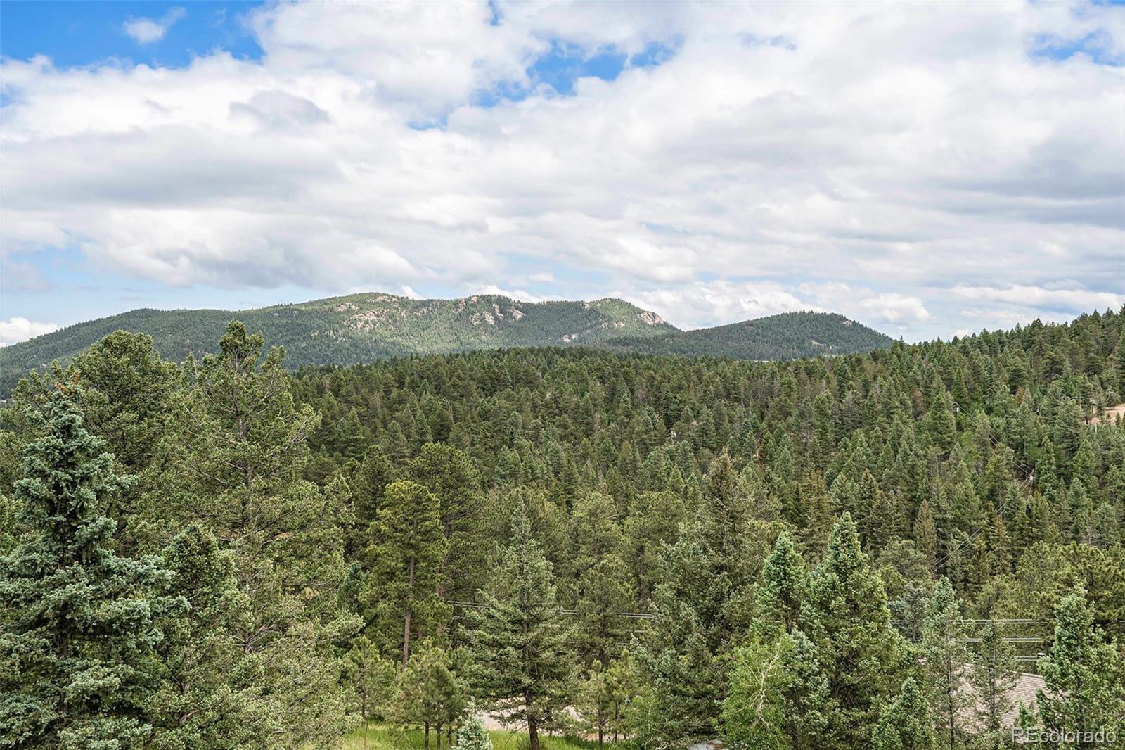 MLS Image #32 for 10271  blue sky trail,conifer, Colorado