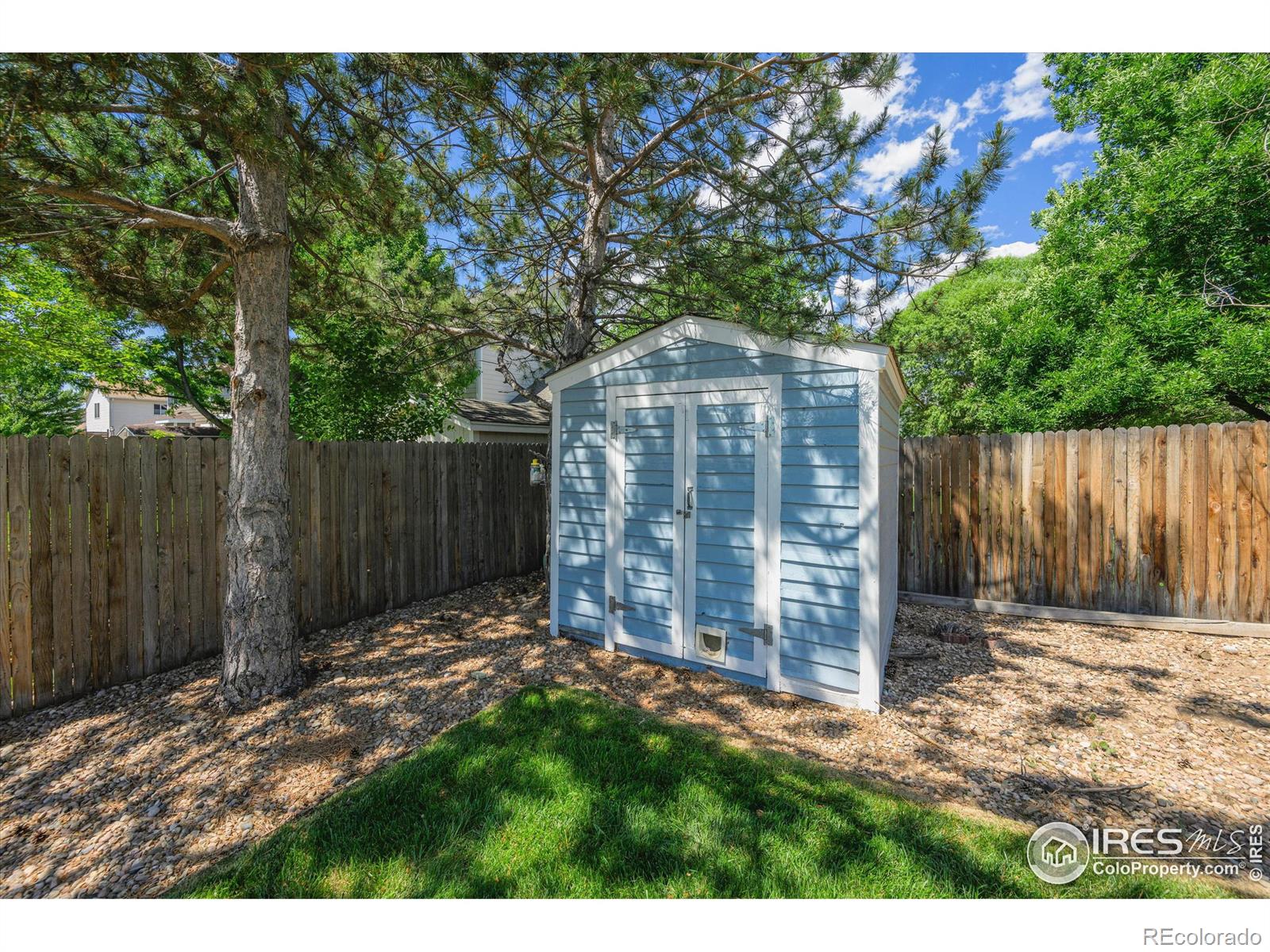 MLS Image #7 for 1227  walnut street,windsor, Colorado