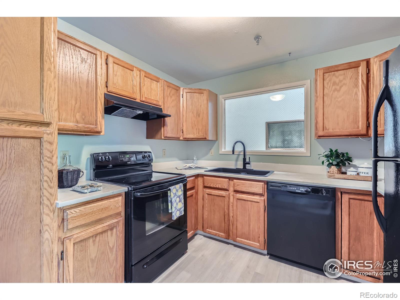 MLS Image #13 for 50  19th avenue,longmont, Colorado