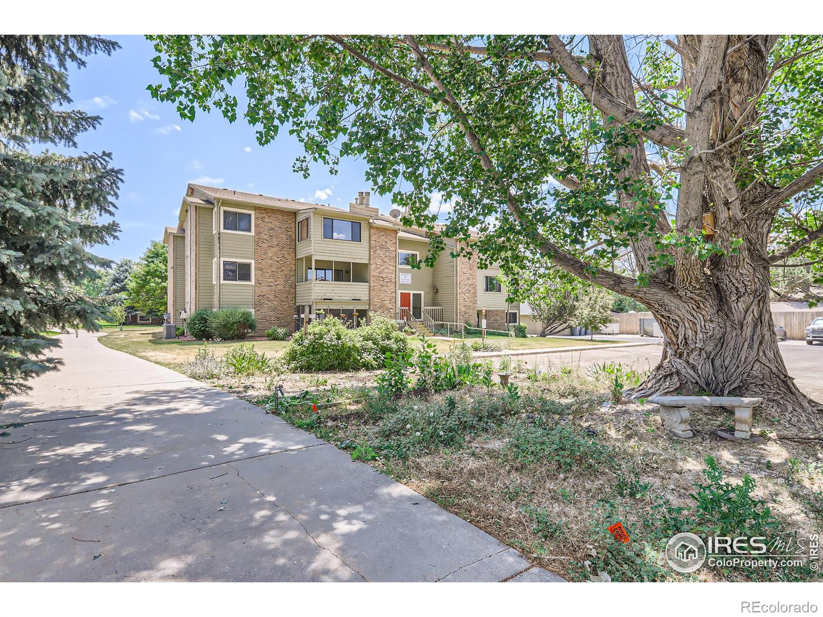 MLS Image #30 for 50  19th avenue,longmont, Colorado