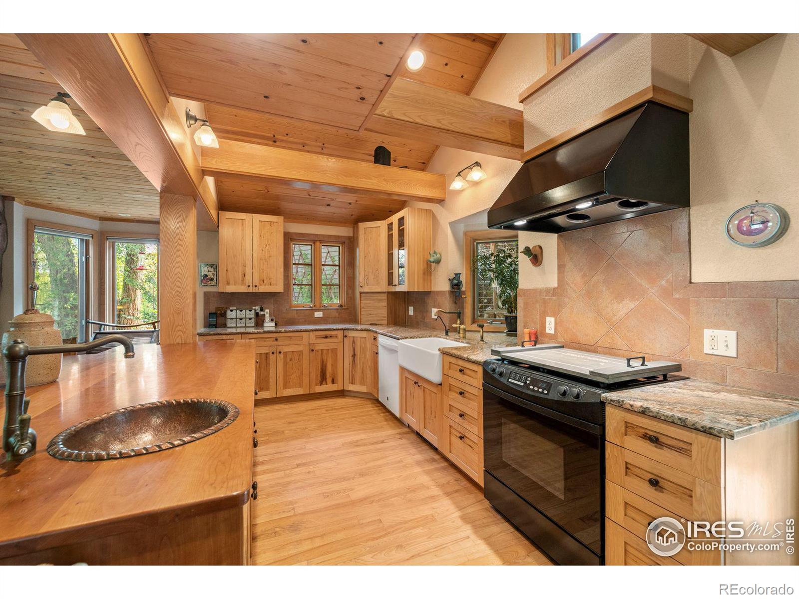 MLS Image #12 for 146  artesian drive,eldorado springs, Colorado