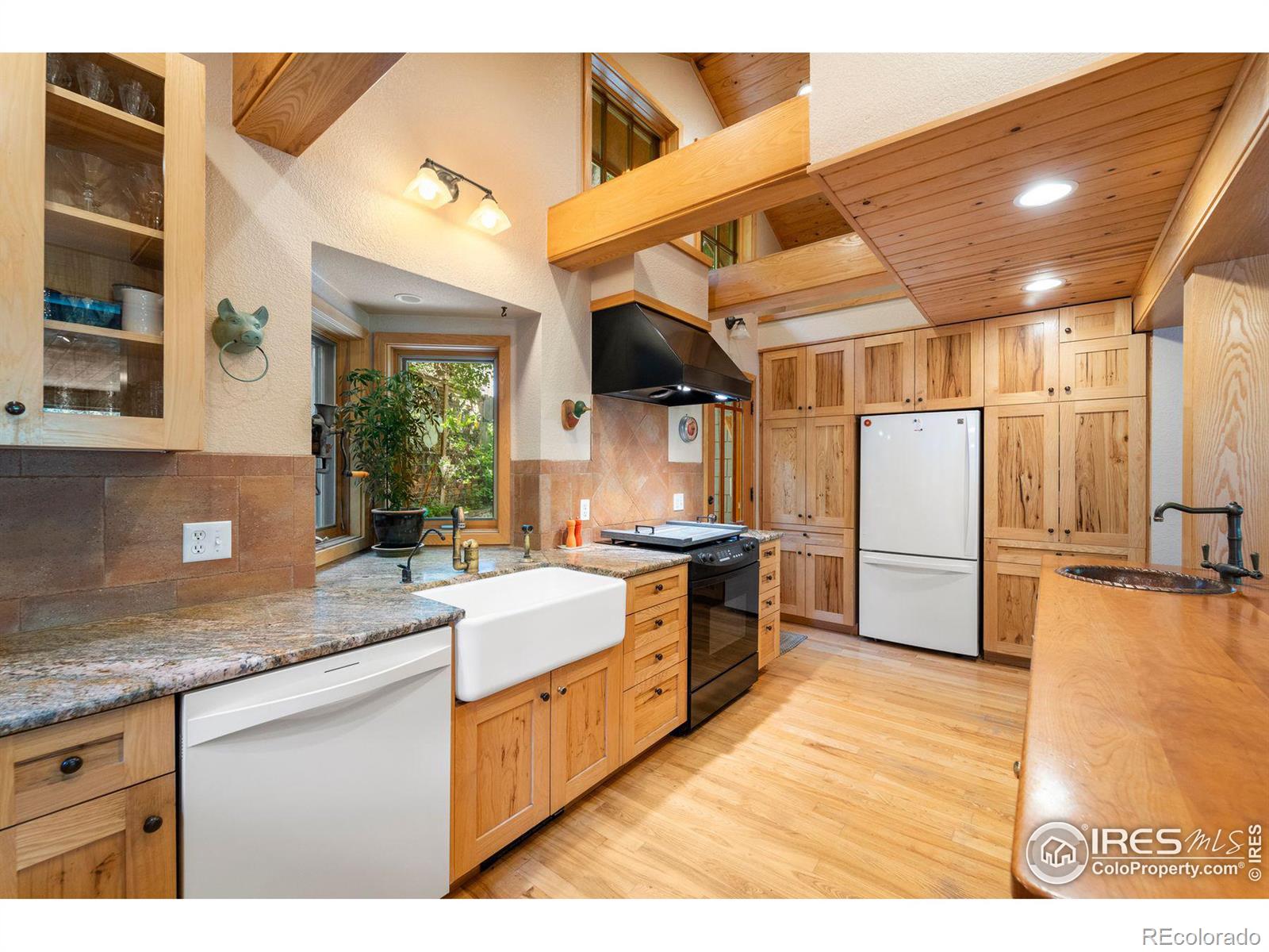 MLS Image #17 for 146  artesian drive,eldorado springs, Colorado