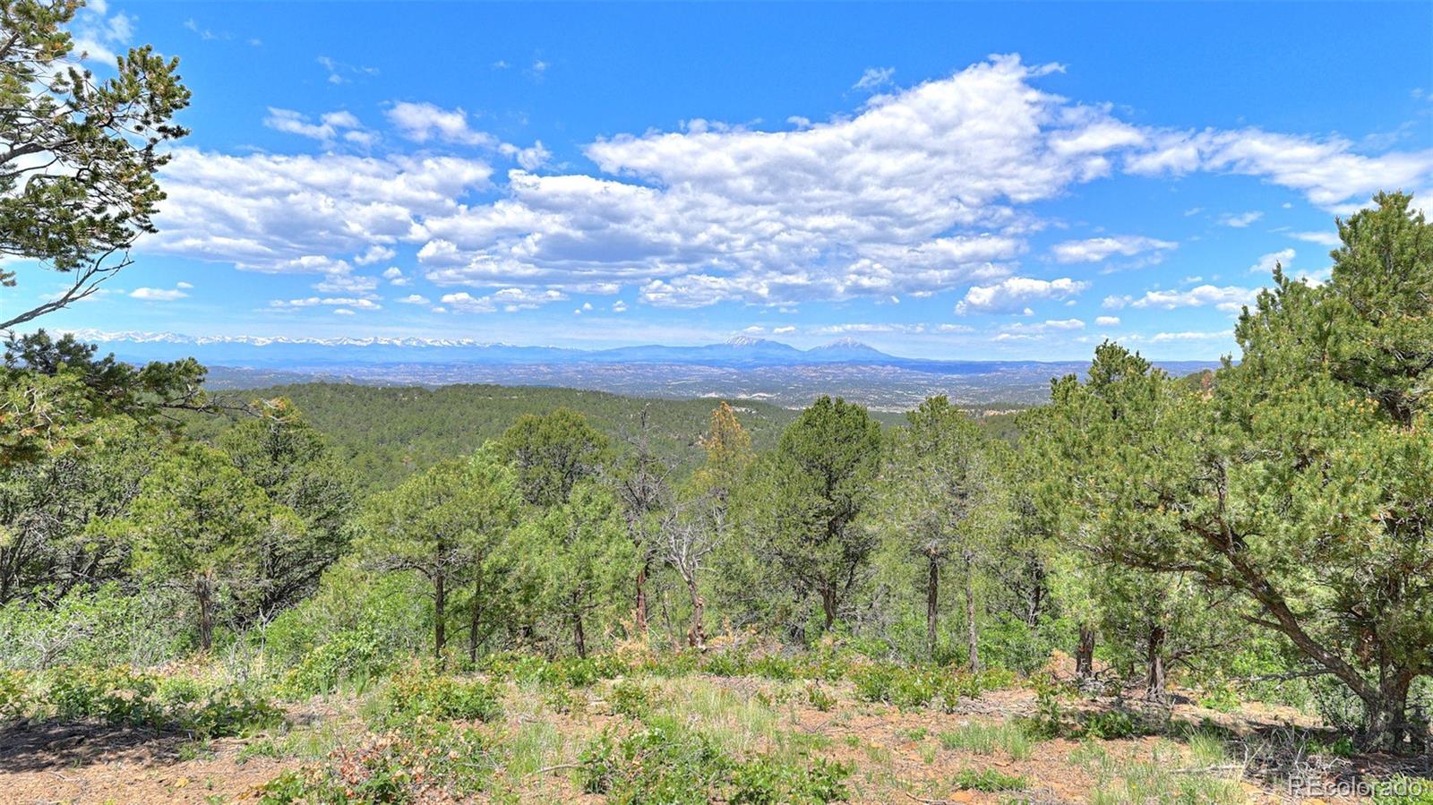 MLS Image #35 for 33010  cedar way,trinidad, Colorado