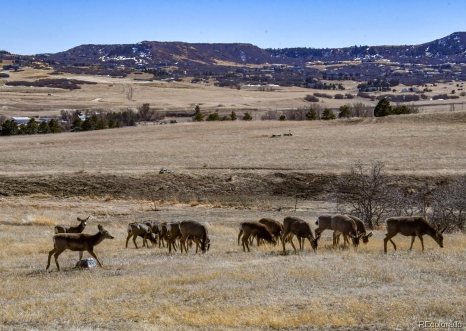 MLS Image #31 for 46  twin oaks road,castle rock, Colorado