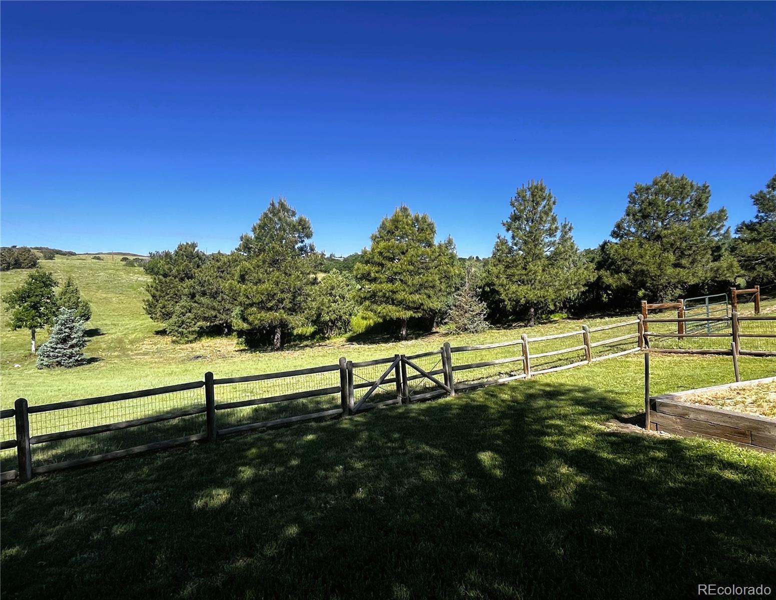 MLS Image #6 for 46  twin oaks road,castle rock, Colorado