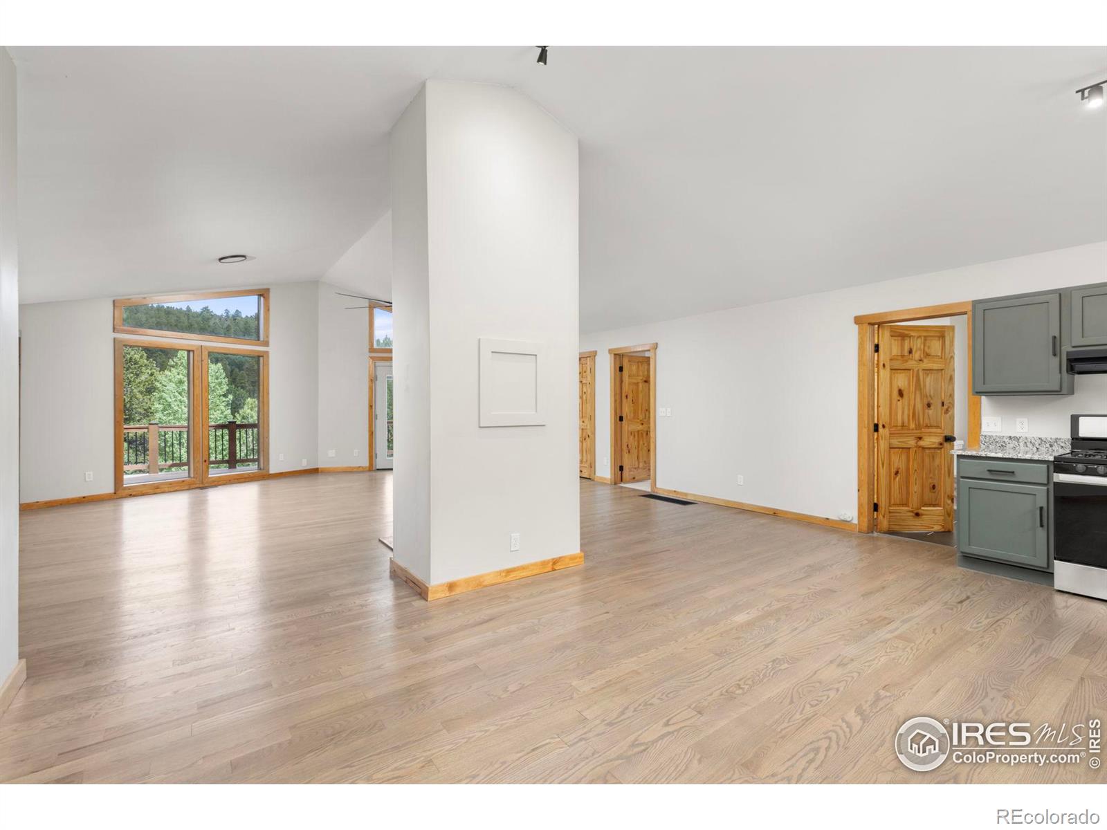 MLS Image #4 for 102  raster road,black hawk, Colorado