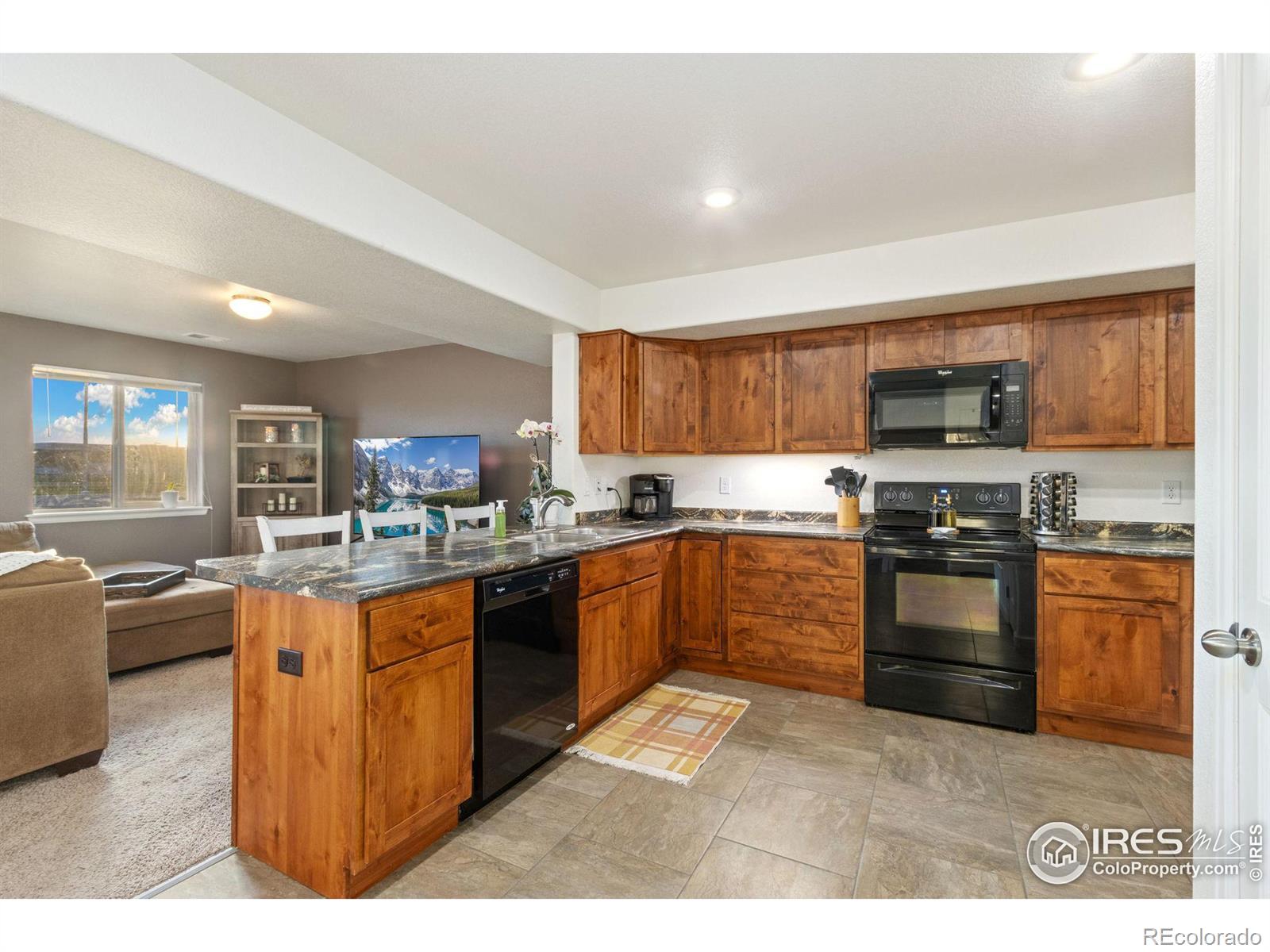 MLS Image #13 for 3101  alybar drive,wellington, Colorado