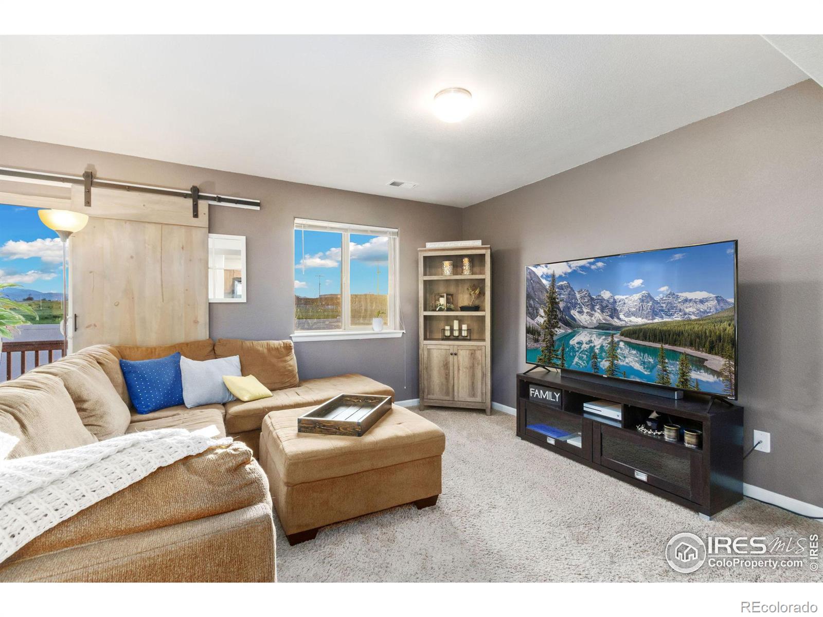 MLS Image #18 for 3101  alybar drive,wellington, Colorado