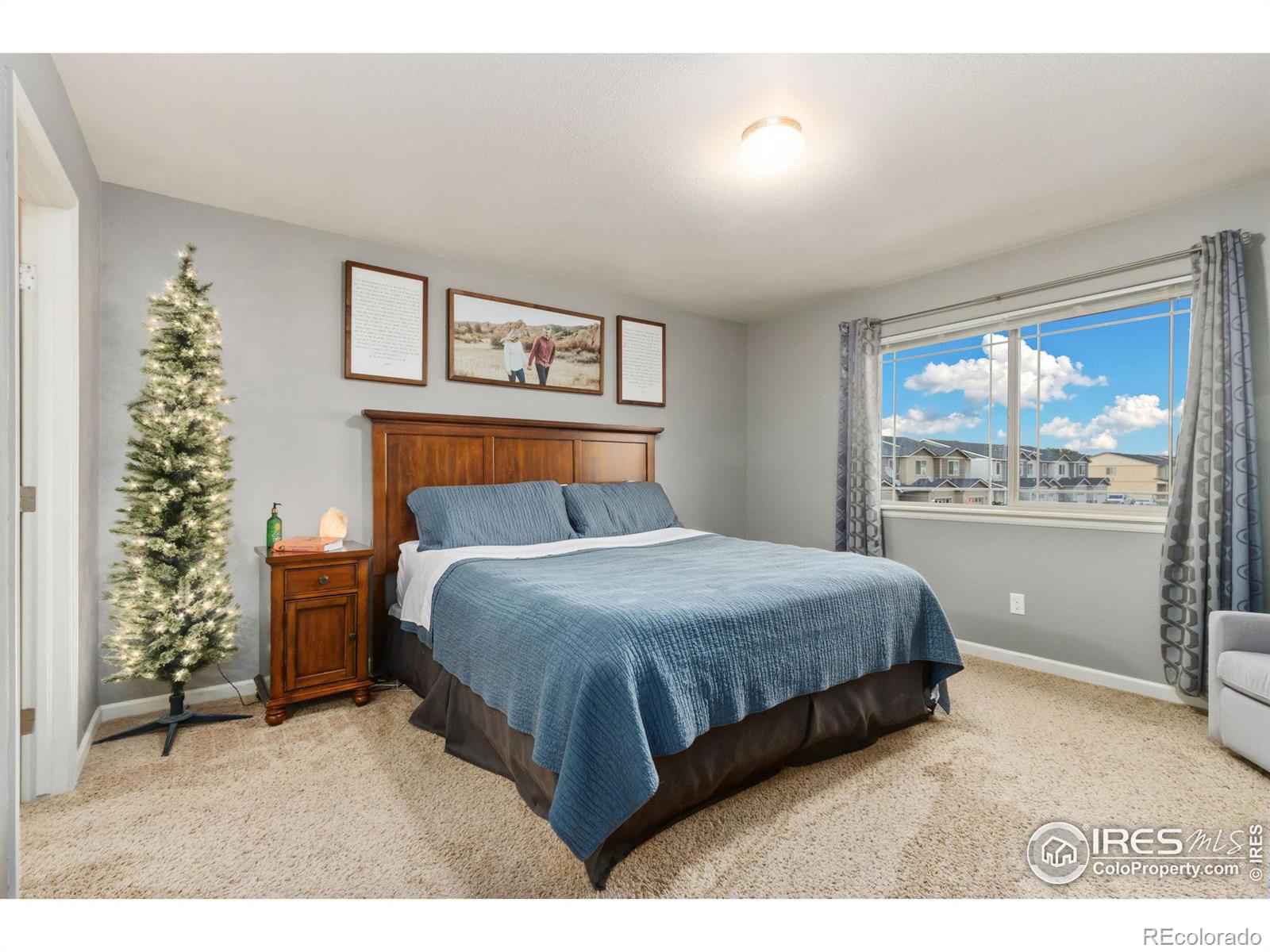 MLS Image #19 for 3101  alybar drive,wellington, Colorado