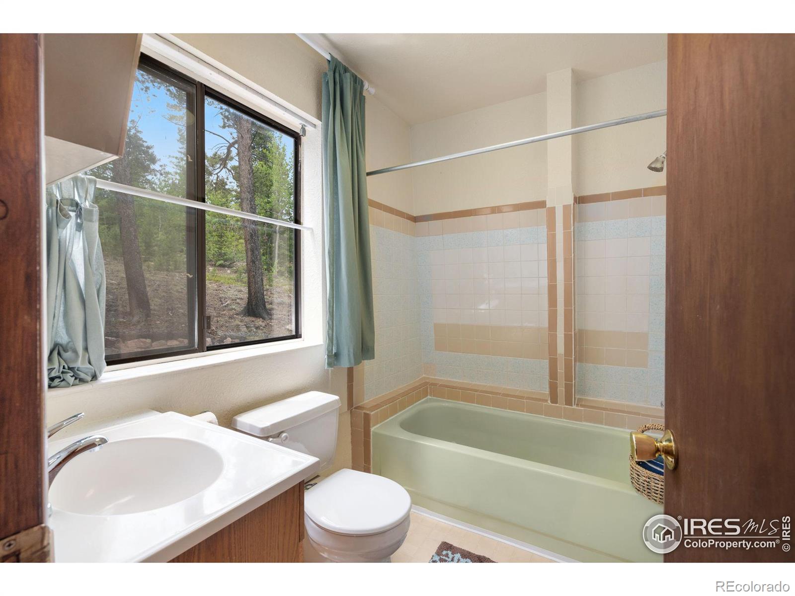 MLS Image #15 for 359  huron road,red feather lakes, Colorado