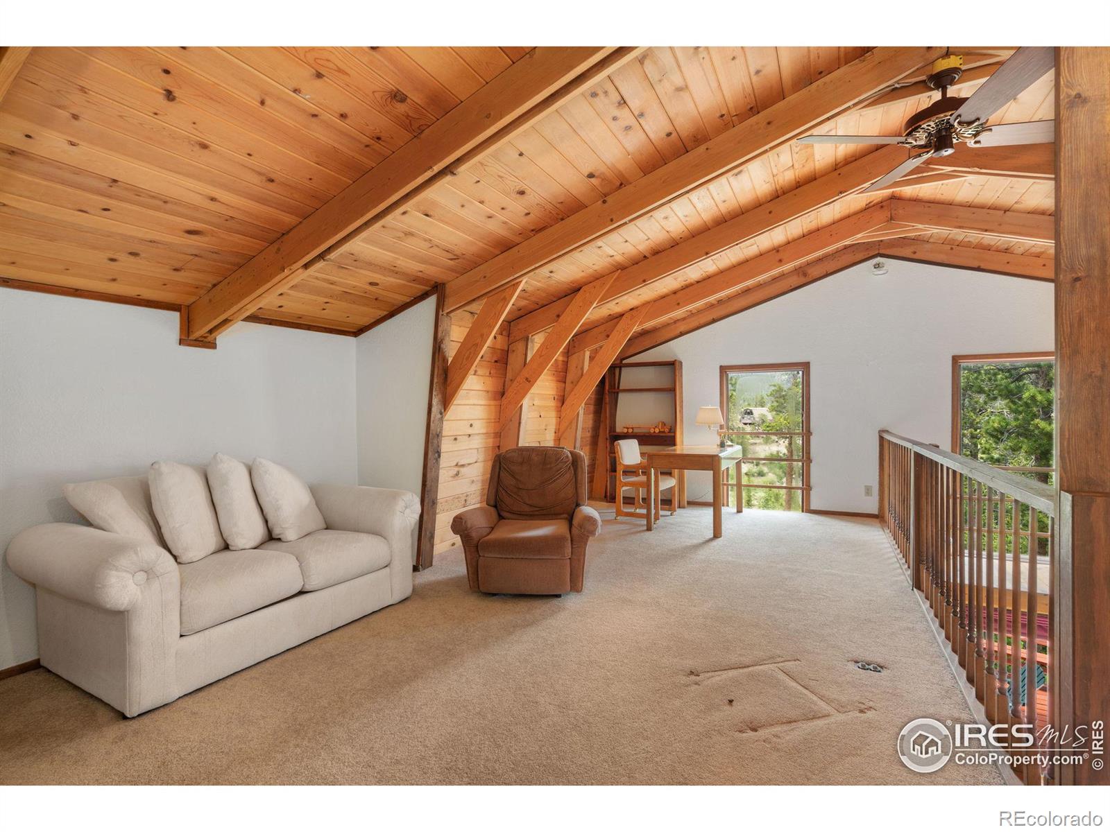 MLS Image #16 for 359  huron road,red feather lakes, Colorado