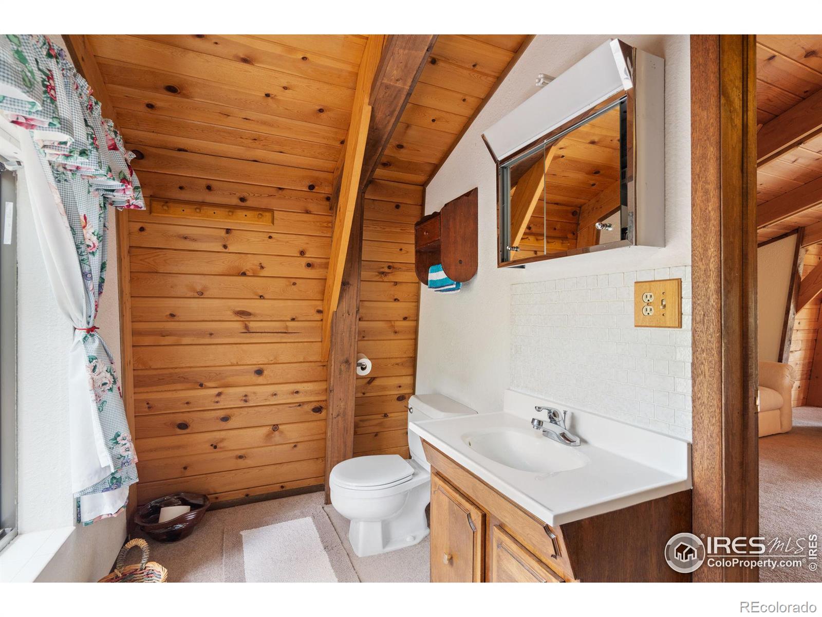 MLS Image #20 for 359  huron road,red feather lakes, Colorado