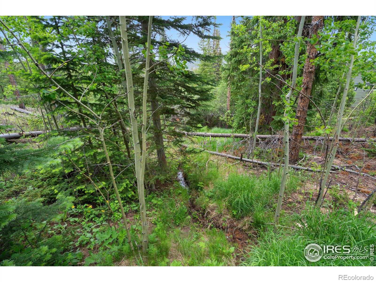 MLS Image #26 for 359  huron road,red feather lakes, Colorado