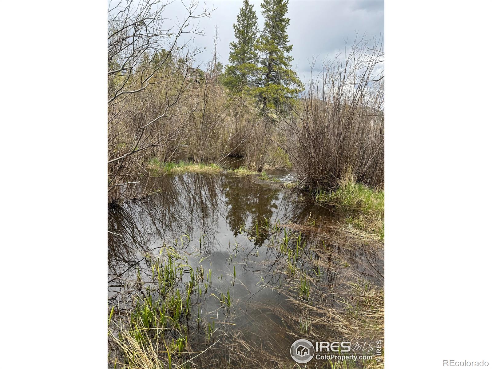 MLS Image #28 for 359  huron road,red feather lakes, Colorado