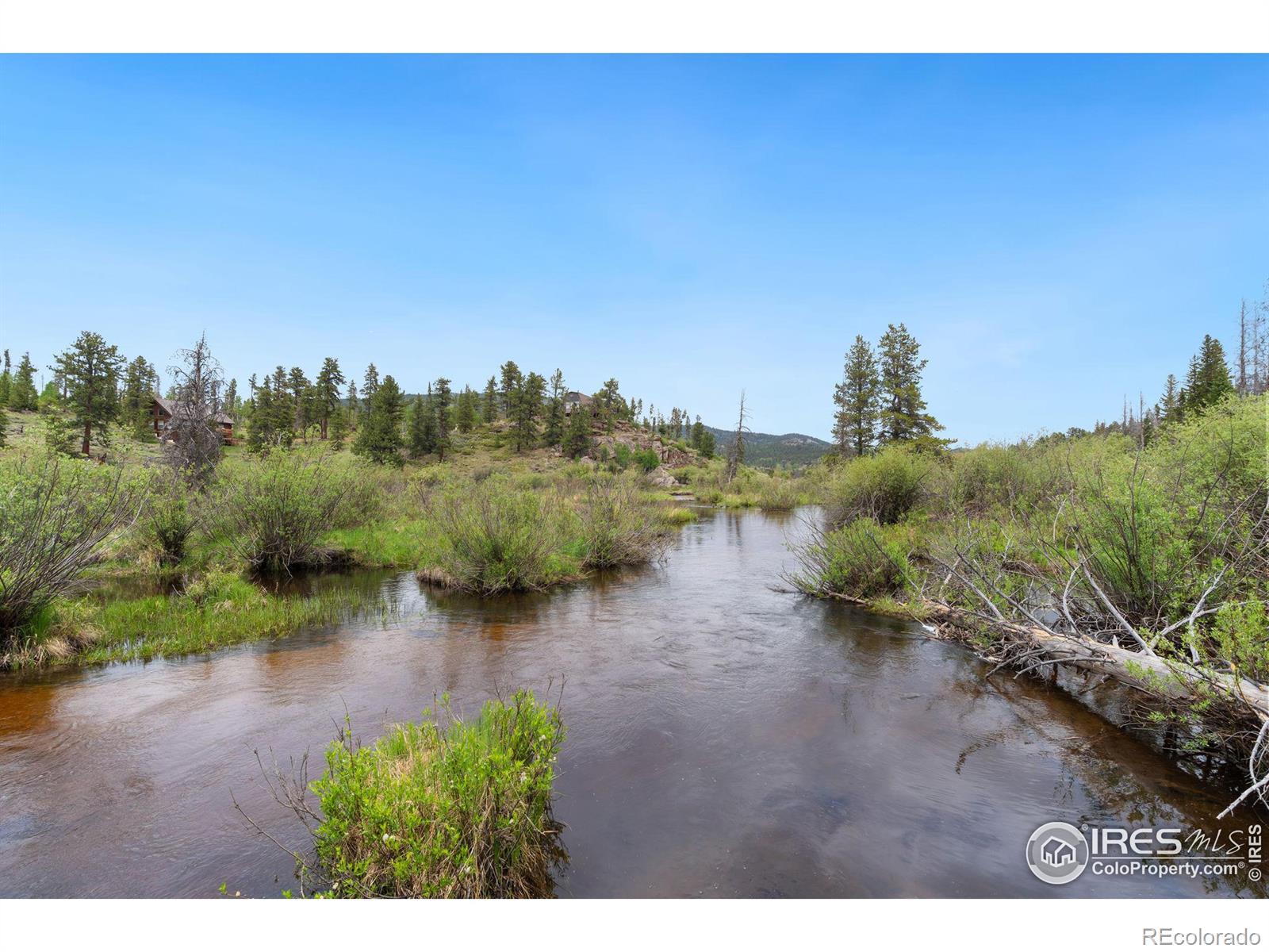 MLS Image #29 for 359  huron road,red feather lakes, Colorado