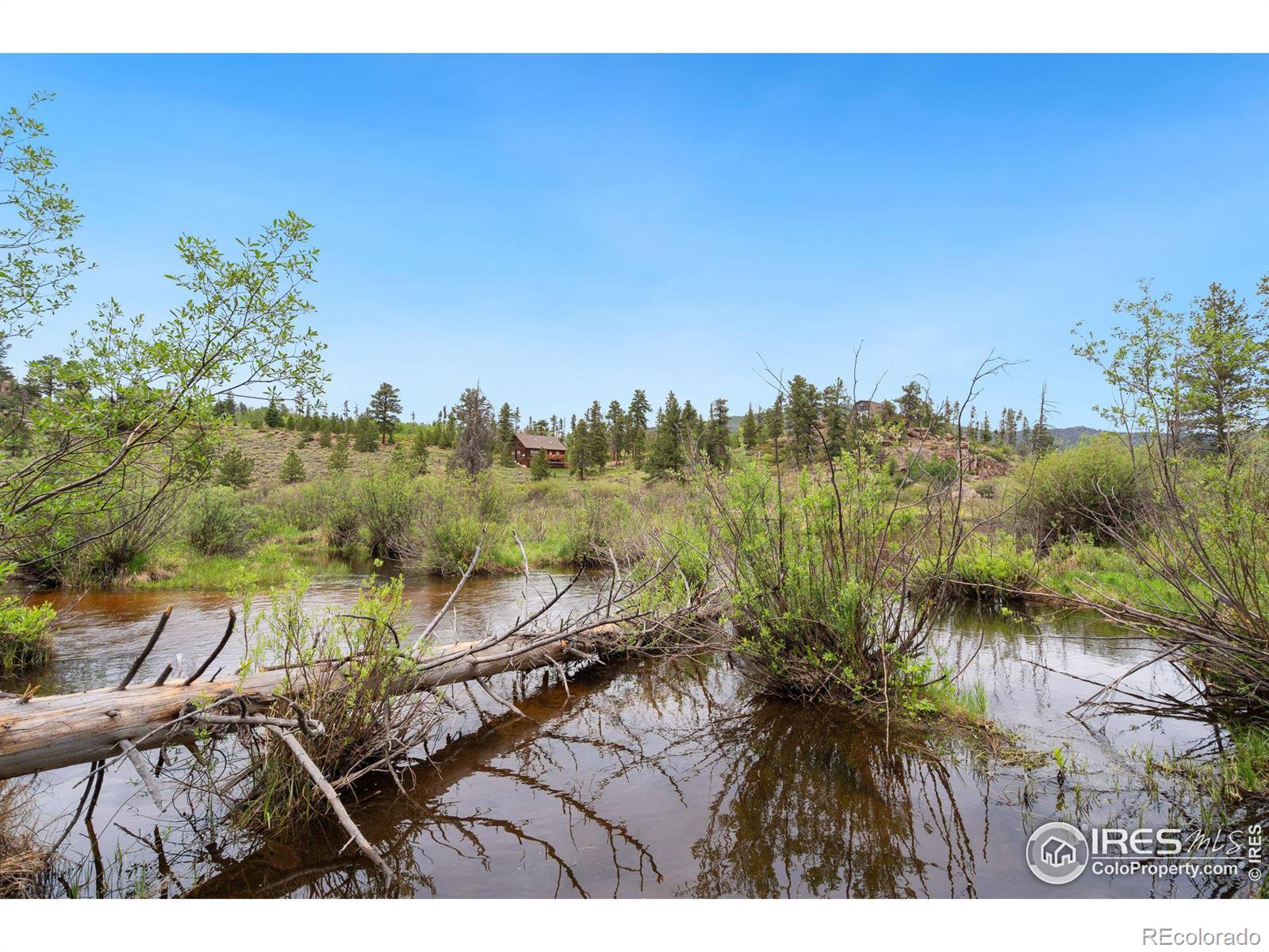 MLS Image #30 for 359  huron road,red feather lakes, Colorado