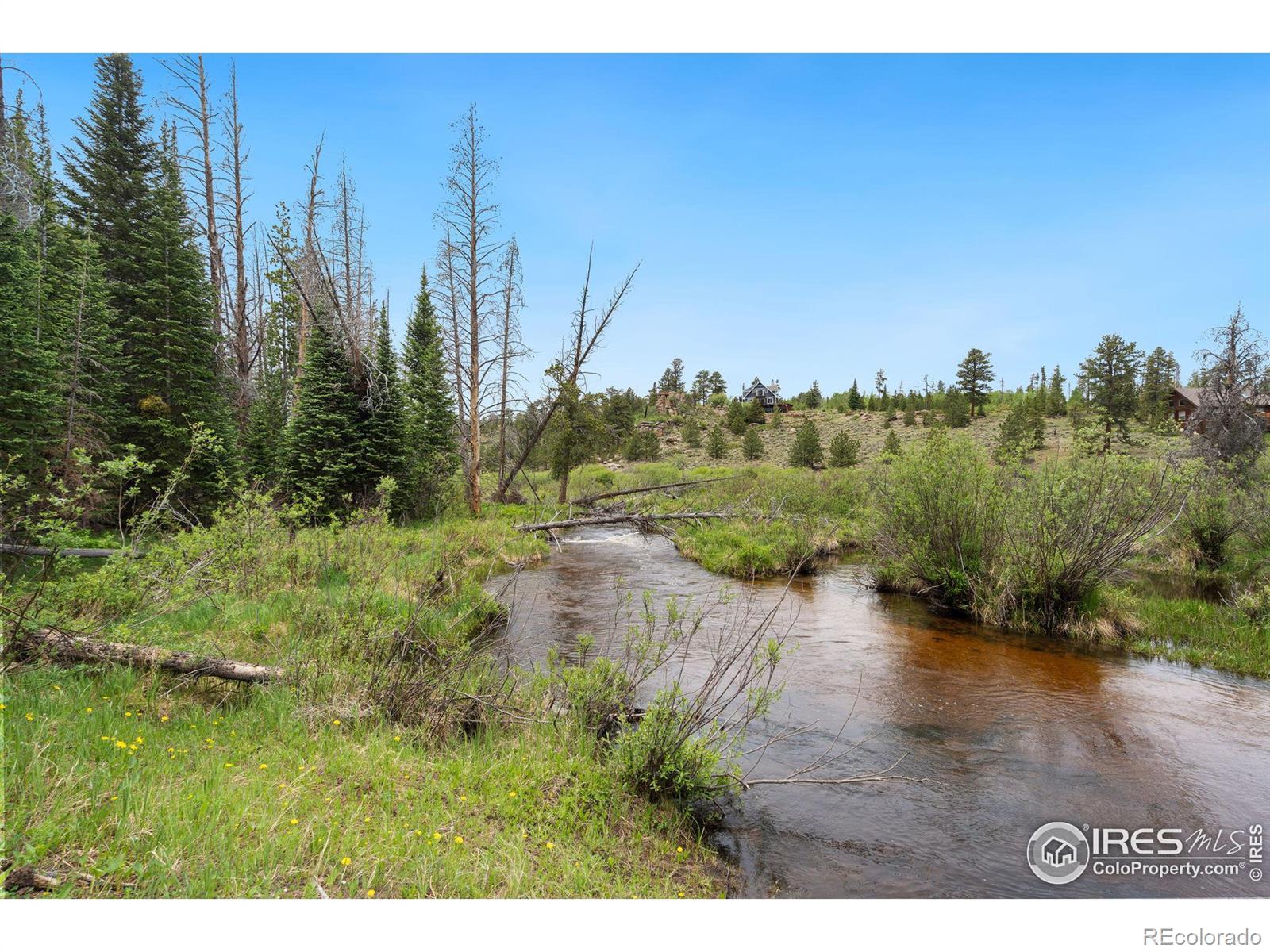 MLS Image #32 for 359  huron road,red feather lakes, Colorado