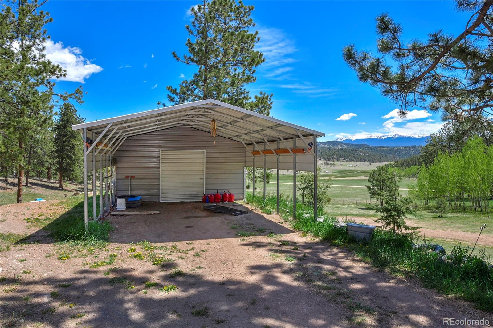 MLS Image #10 for 201  campbell lane,guffey, Colorado