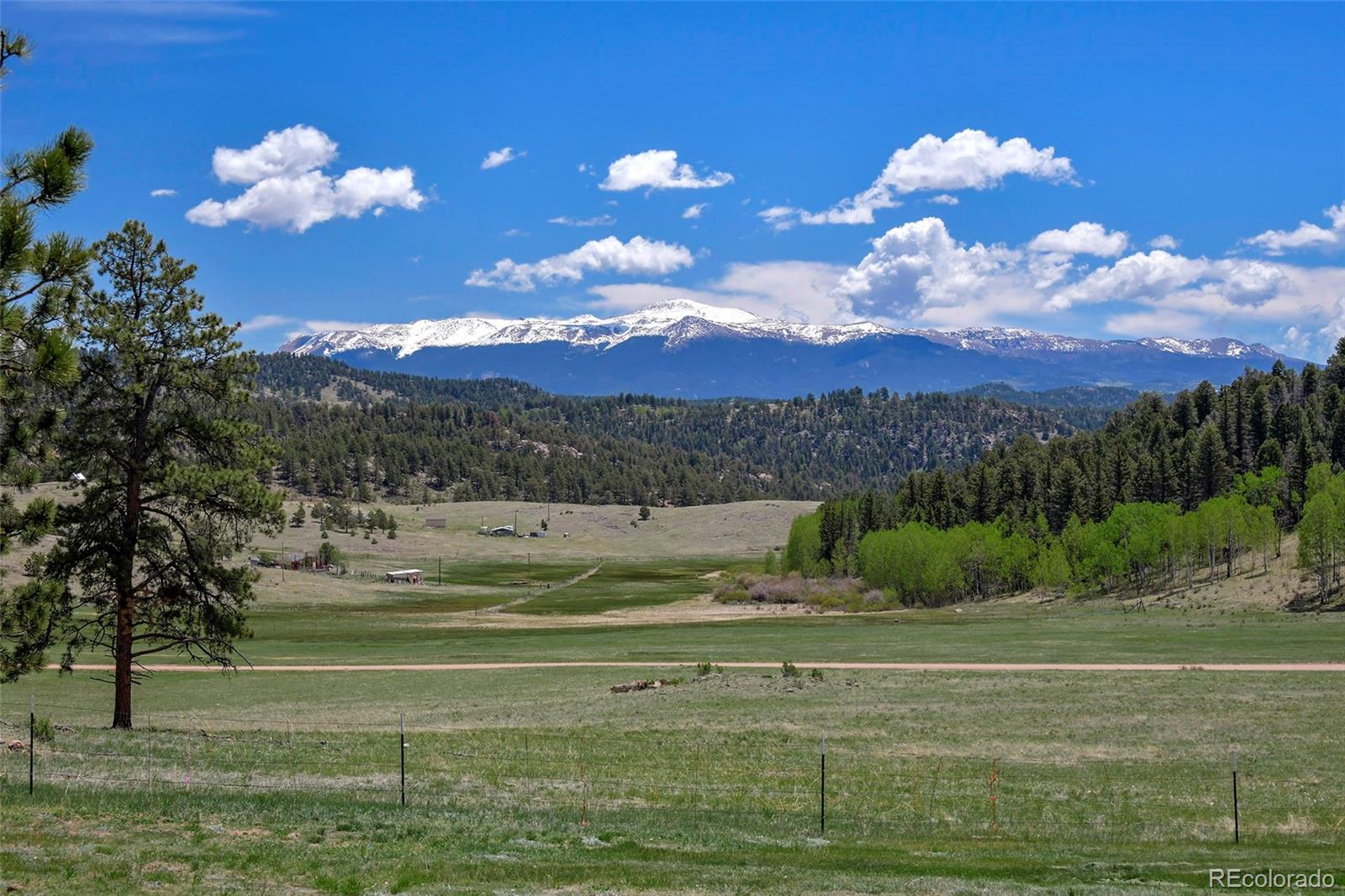 MLS Image #2 for 201  campbell lane,guffey, Colorado