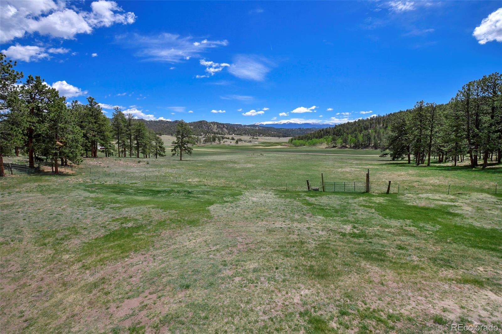 MLS Image #20 for 201  campbell lane,guffey, Colorado