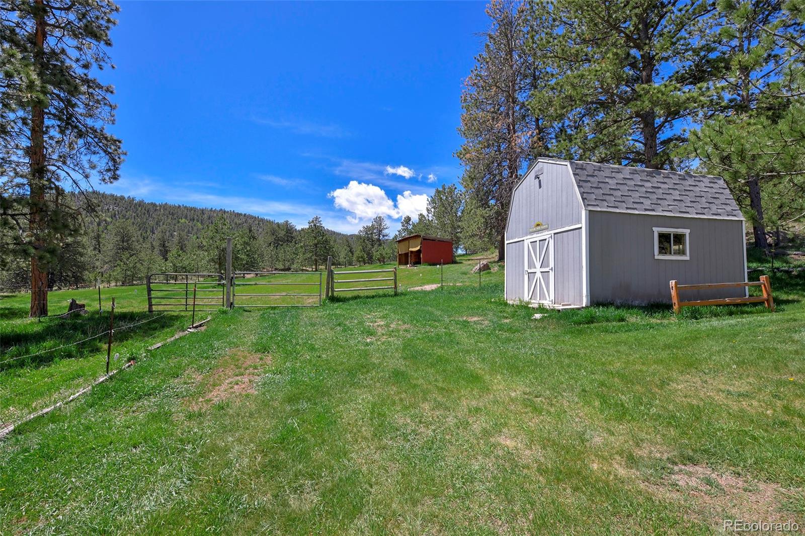 MLS Image #3 for 201  campbell lane,guffey, Colorado