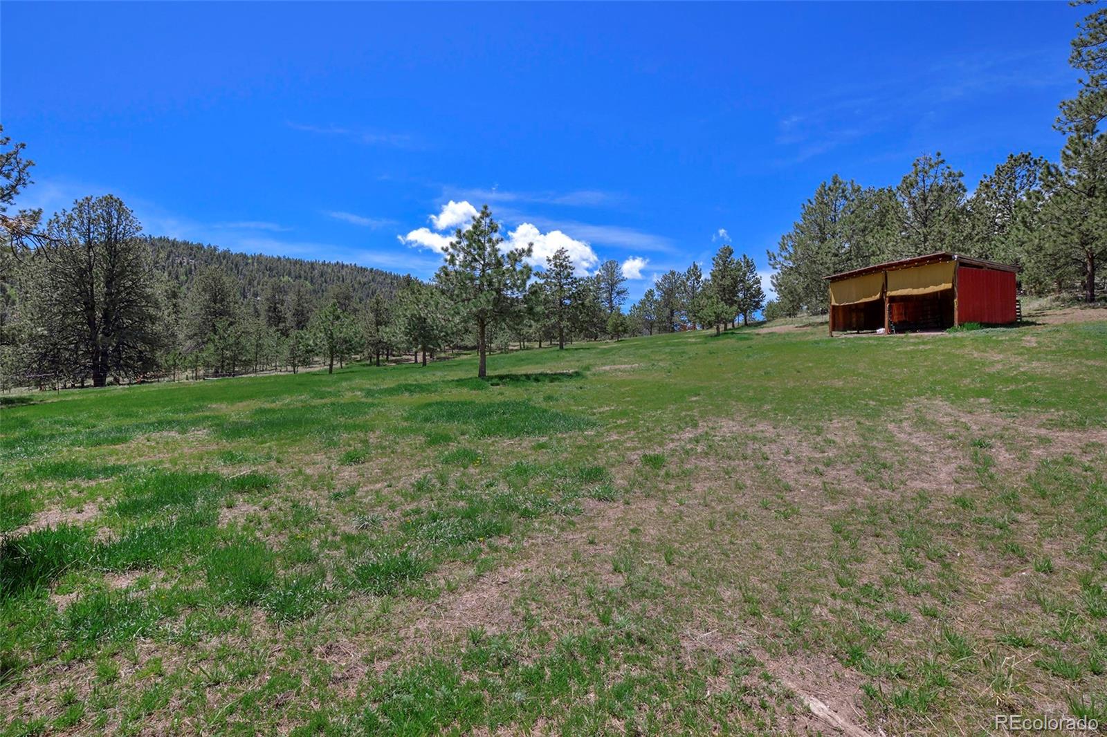 MLS Image #5 for 201  campbell lane,guffey, Colorado