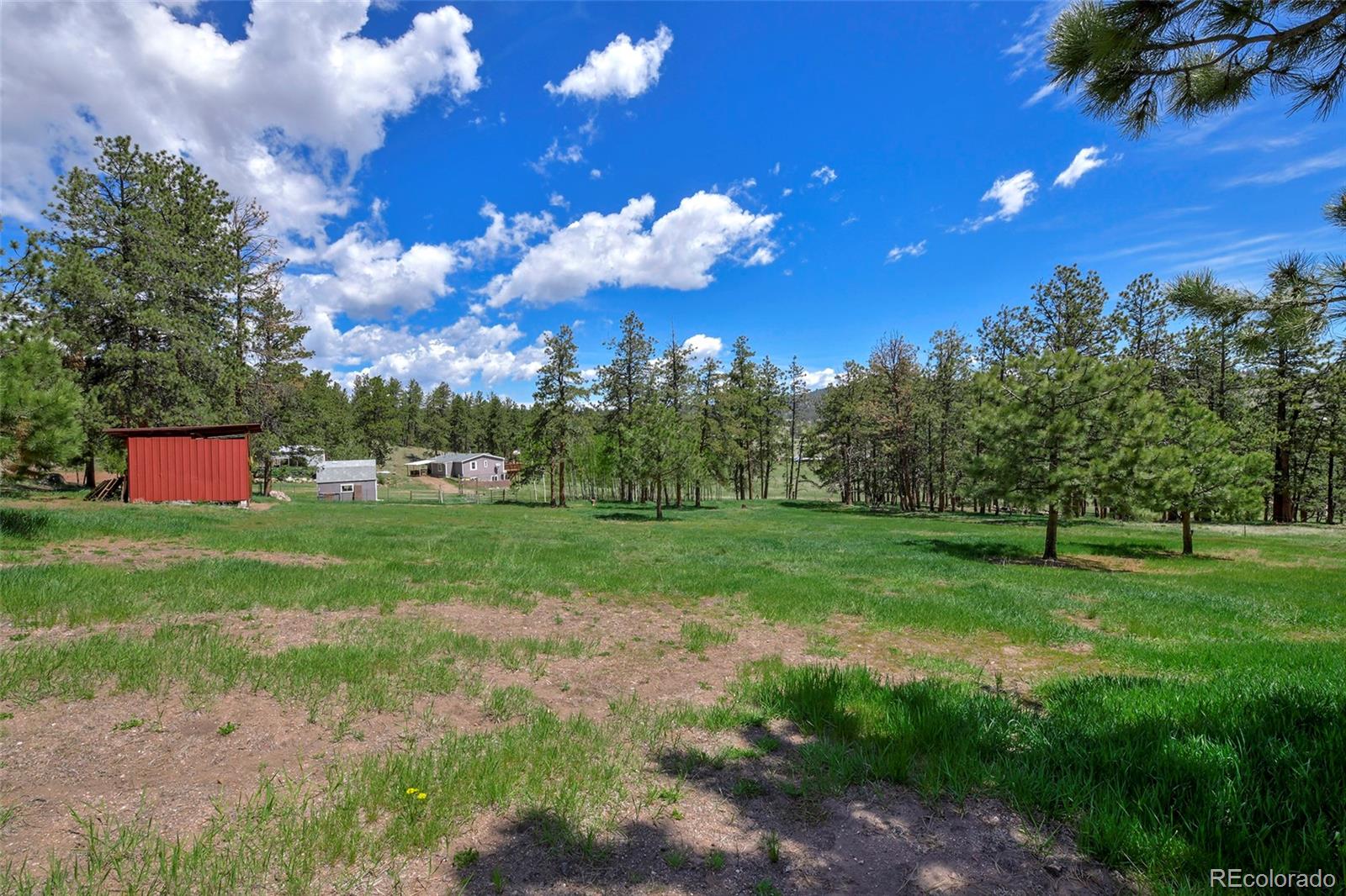 MLS Image #6 for 201  campbell lane,guffey, Colorado