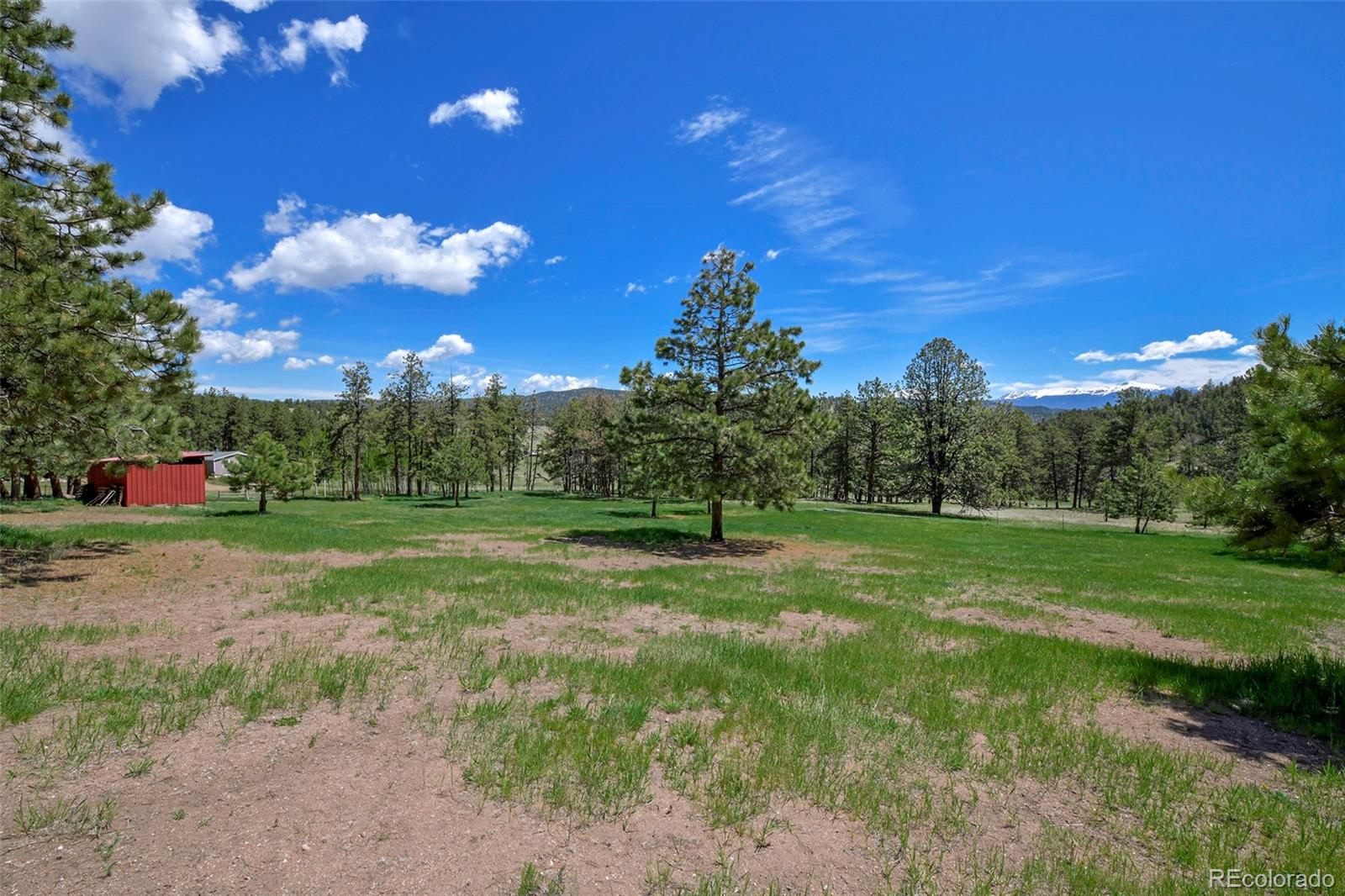 MLS Image #7 for 201  campbell lane,guffey, Colorado