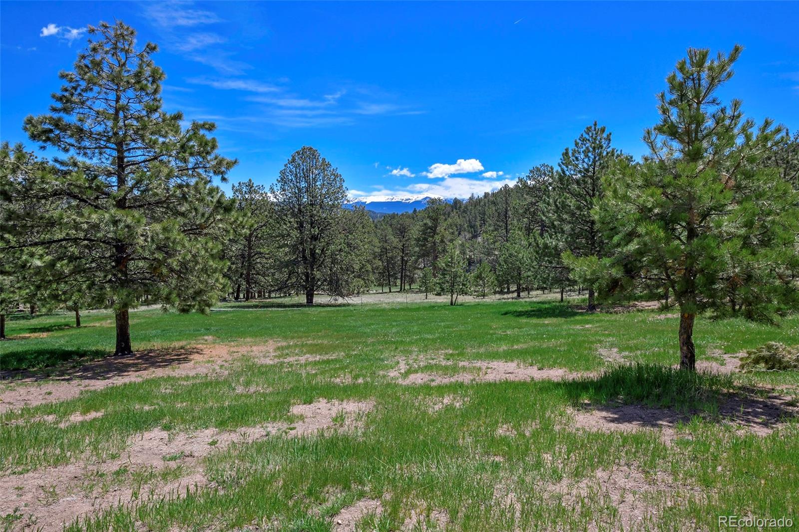 MLS Image #8 for 201  campbell lane,guffey, Colorado