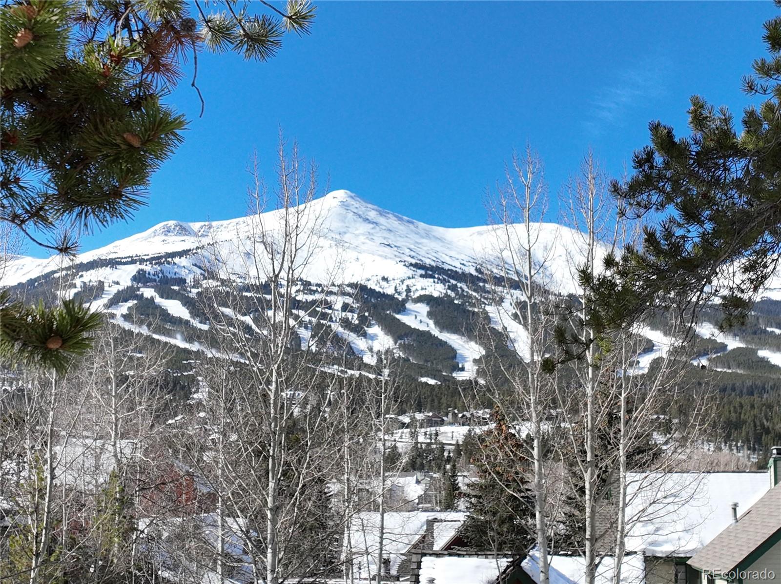 MLS Image #23 for 102 s high street,breckenridge, Colorado