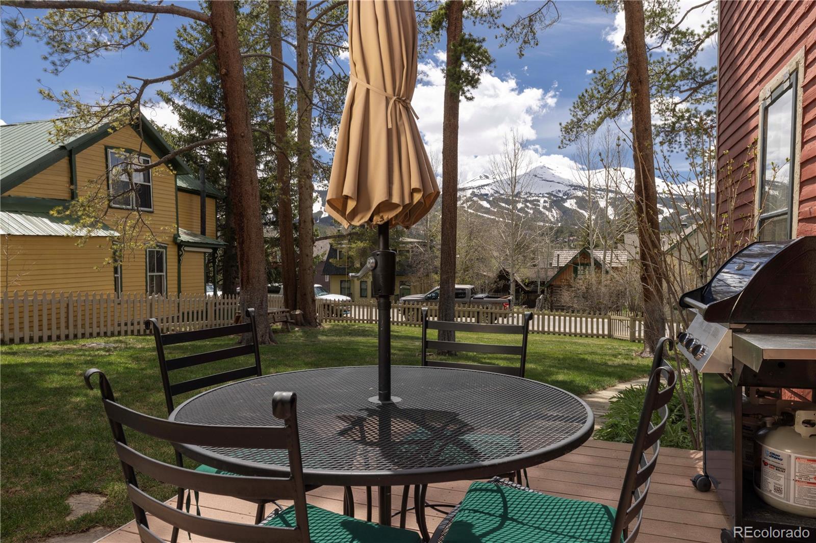 MLS Image #35 for 102 s high street,breckenridge, Colorado