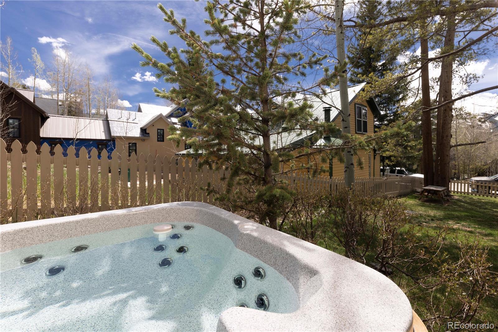 MLS Image #36 for 102 s high street,breckenridge, Colorado