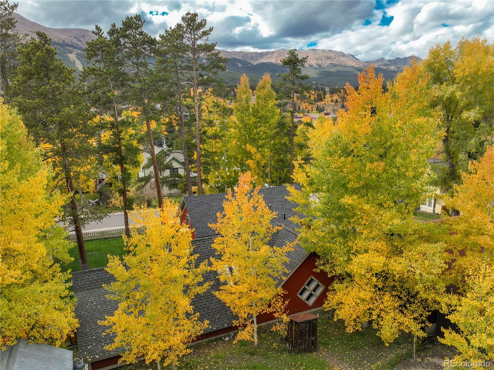 MLS Image #38 for 102 s high street,breckenridge, Colorado