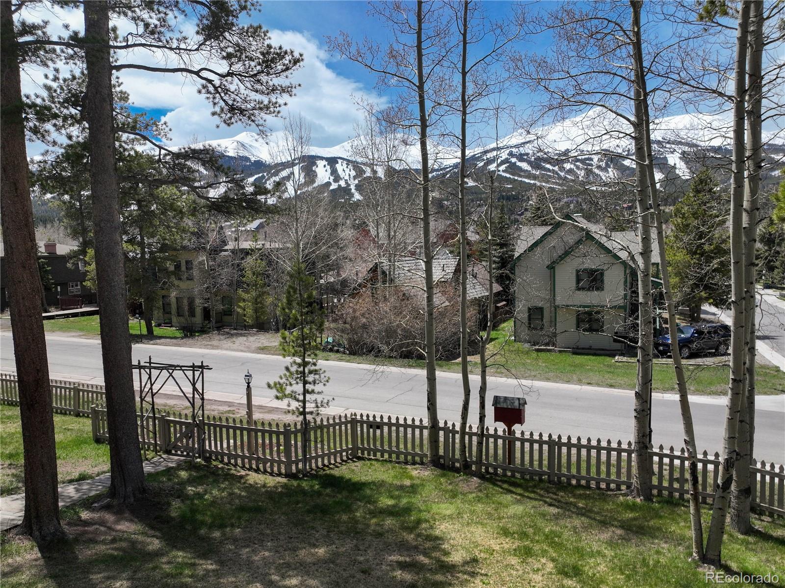 MLS Image #40 for 102 s high street,breckenridge, Colorado