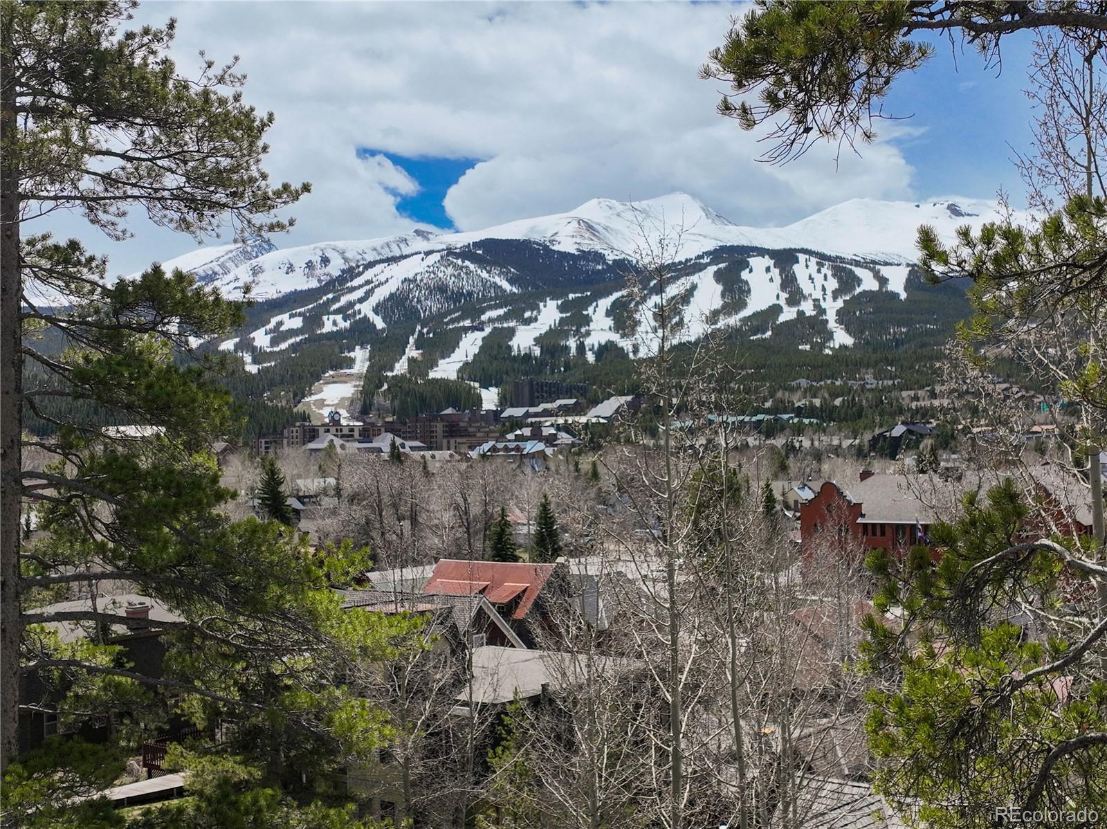 MLS Image #41 for 102 s high street,breckenridge, Colorado
