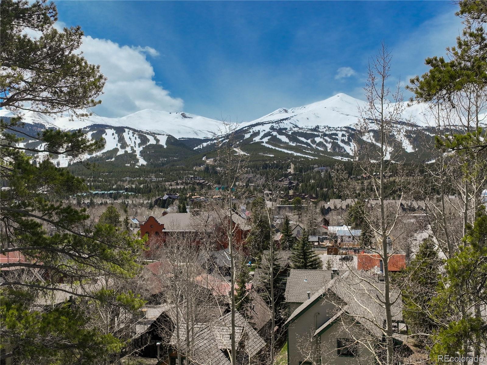 MLS Image #42 for 102 s high street,breckenridge, Colorado