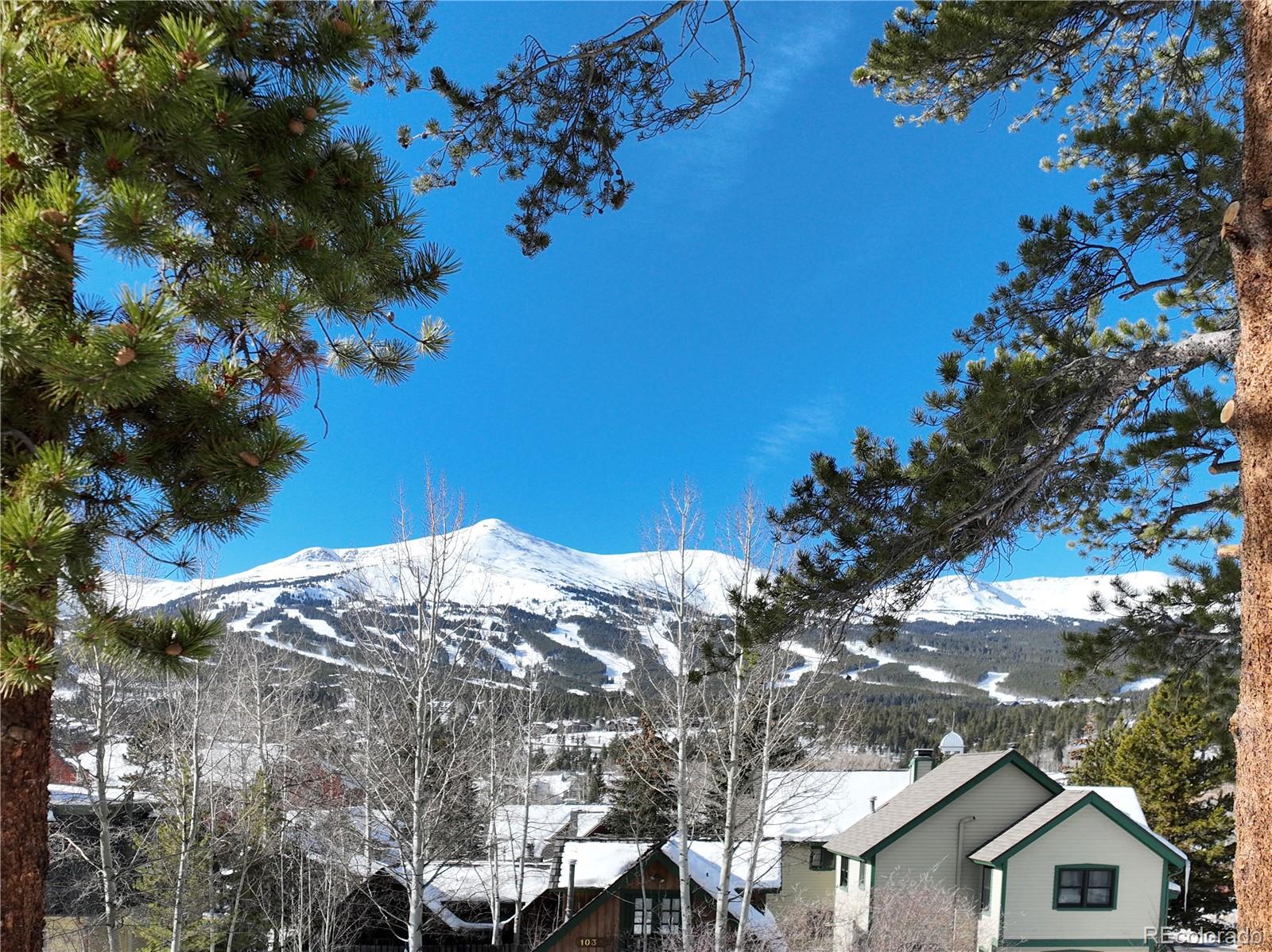 MLS Image #44 for 102 s high street,breckenridge, Colorado