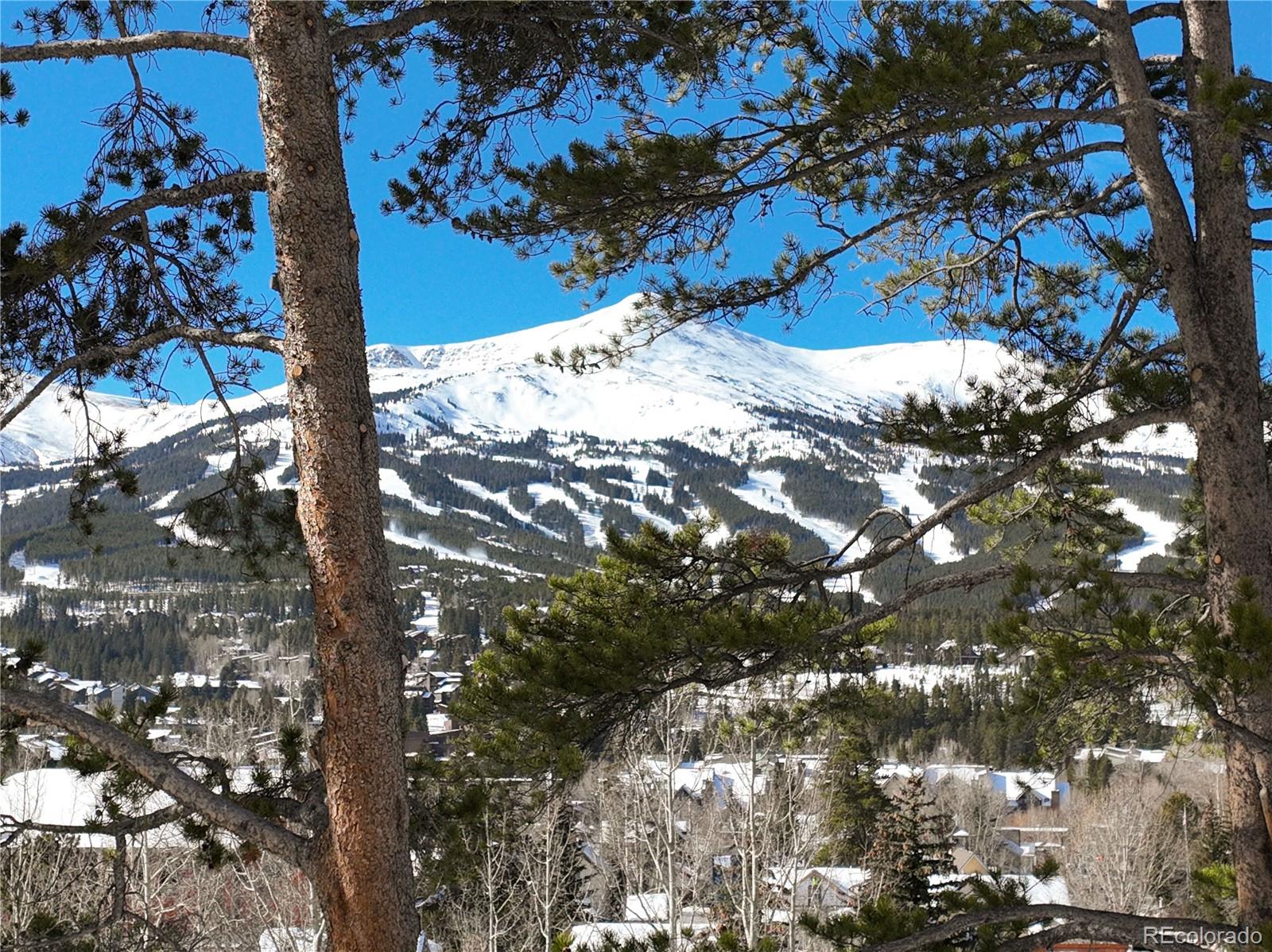 MLS Image #45 for 102 s high street,breckenridge, Colorado