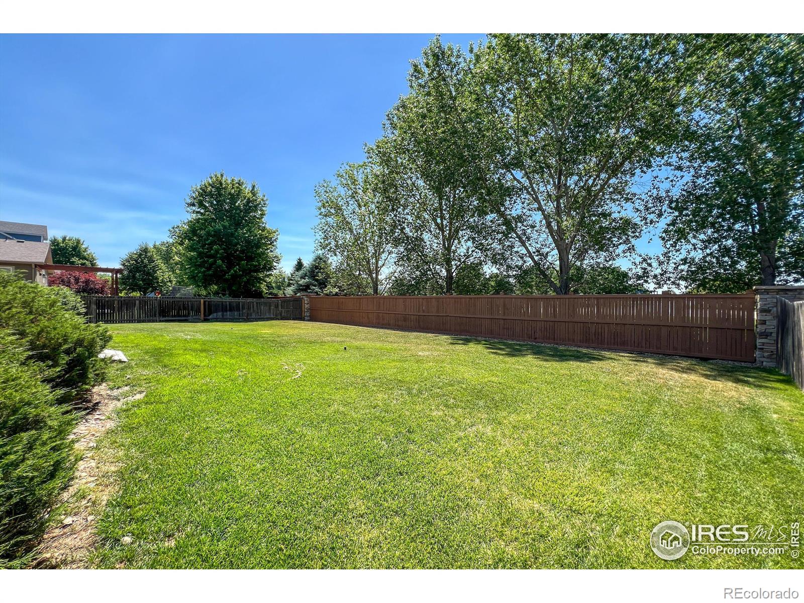 MLS Image #36 for 8086  raspberry drive,frederick, Colorado