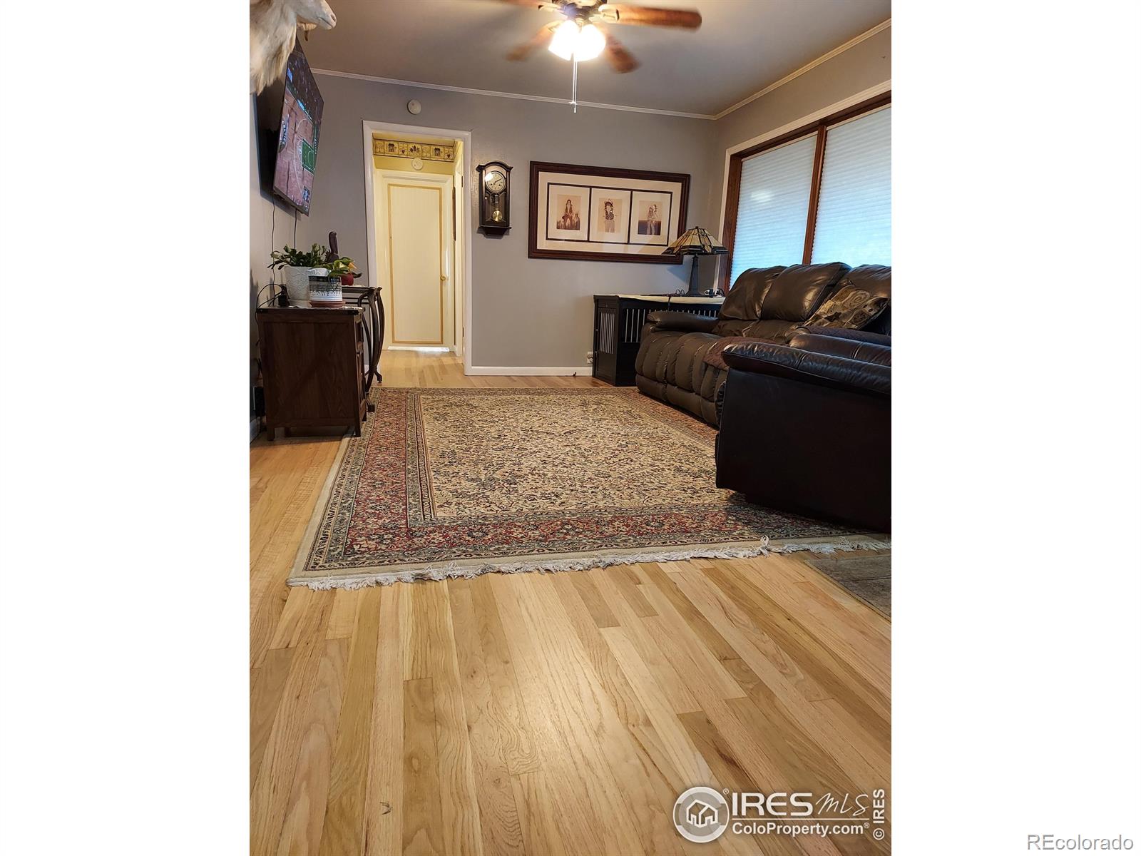 MLS Image #10 for 435  logan street,sterling, Colorado